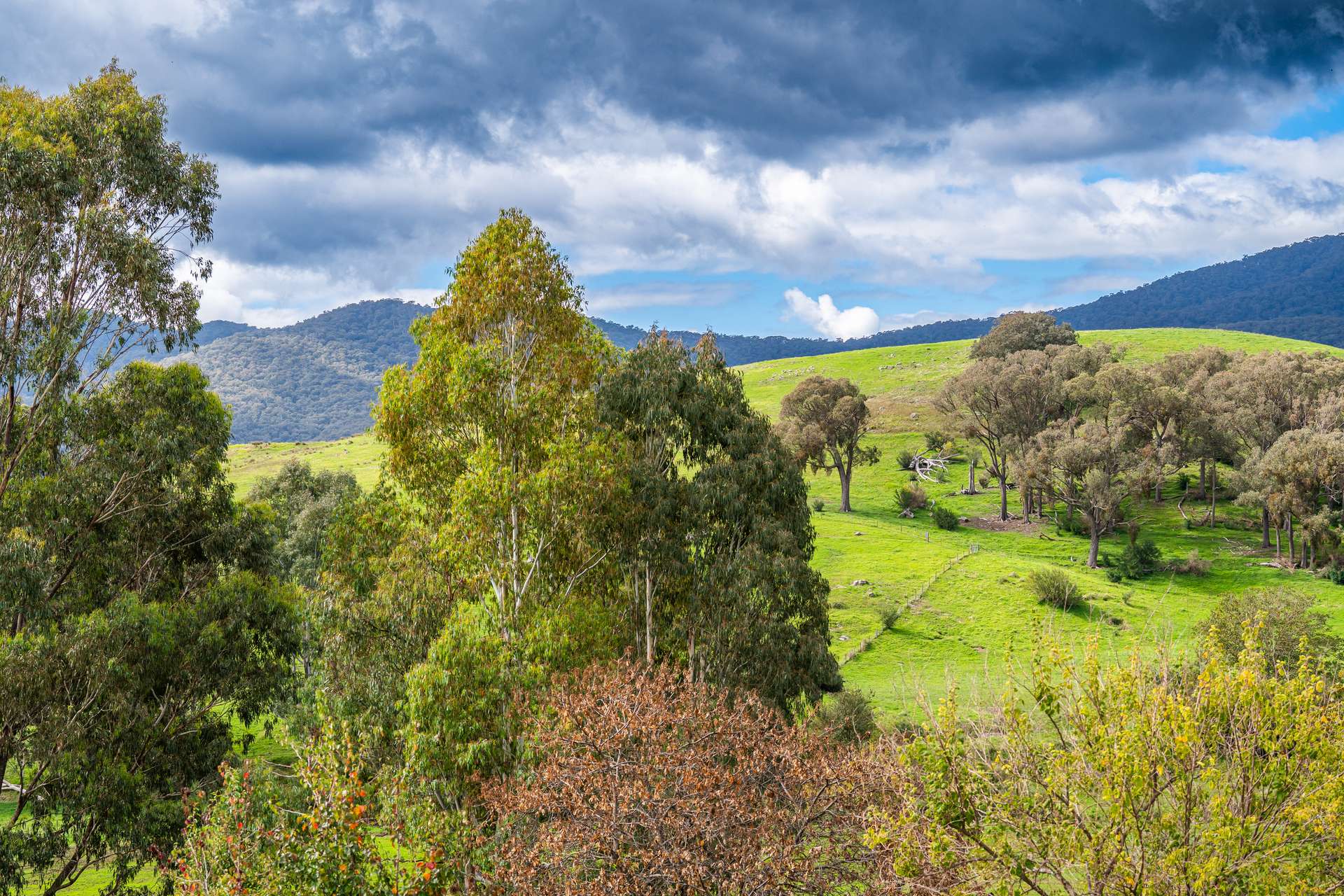276 Egan Lane, Sandy Creek For Sale by Farmbuy.com - image 15