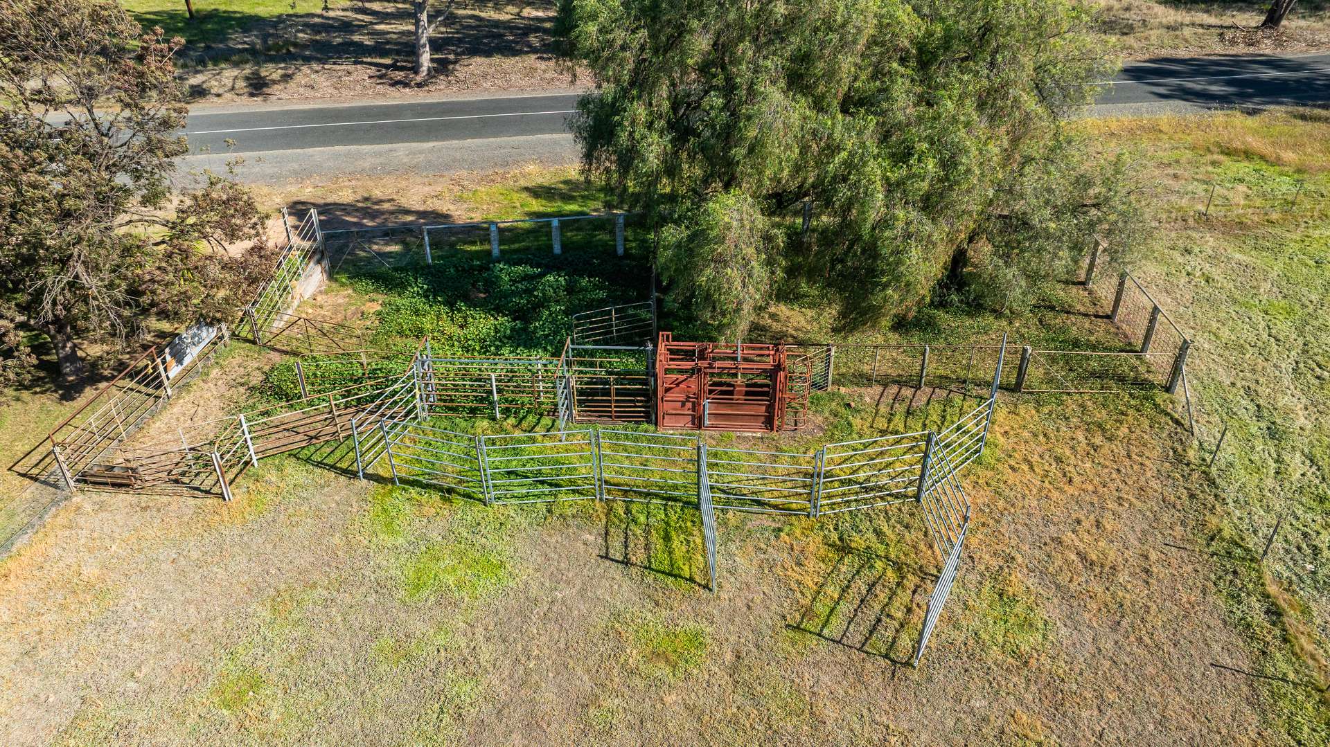 789 Walla Walla Road, Gerogery For Sale by Farmbuy.com - image 9