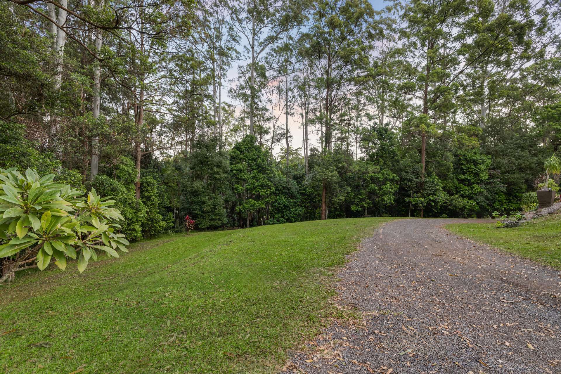 111-121 Main Creek Road, Tanawha Auction by Farmbuy.com - image 5