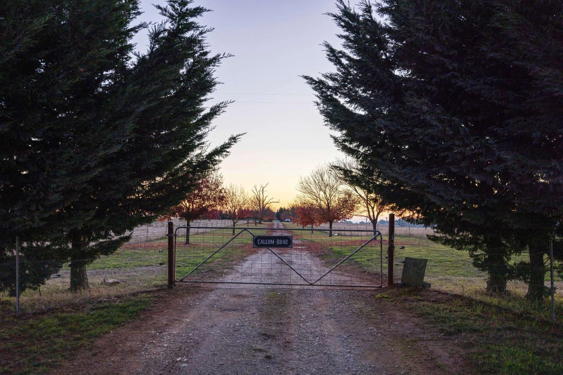 2669 Sapphire Road, Wheeo For Sale by Farmbuy.com - image 21