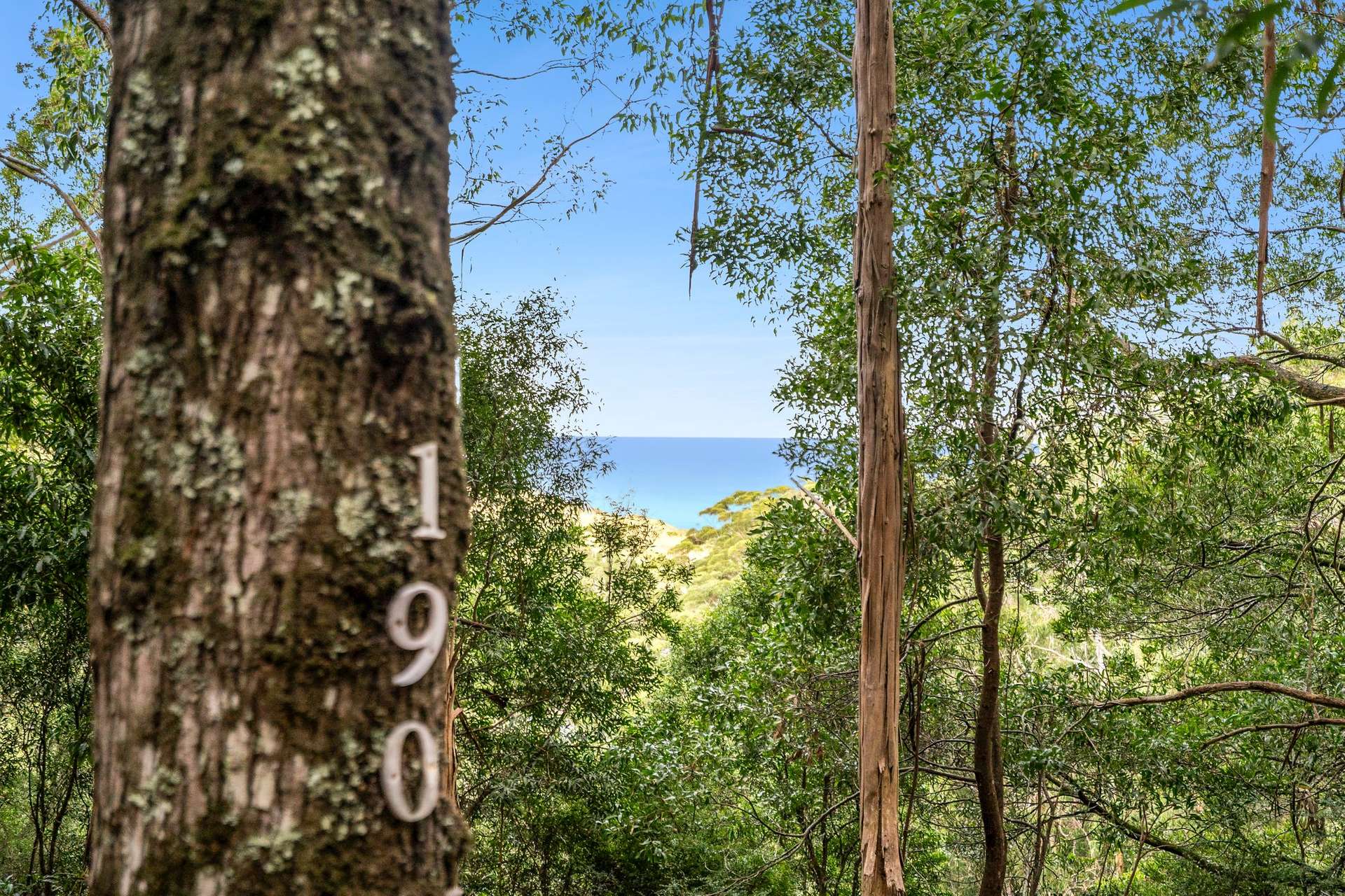 190 Hickeys Cutting, Skenes Creek For Sale by Farmbuy.com - image 22