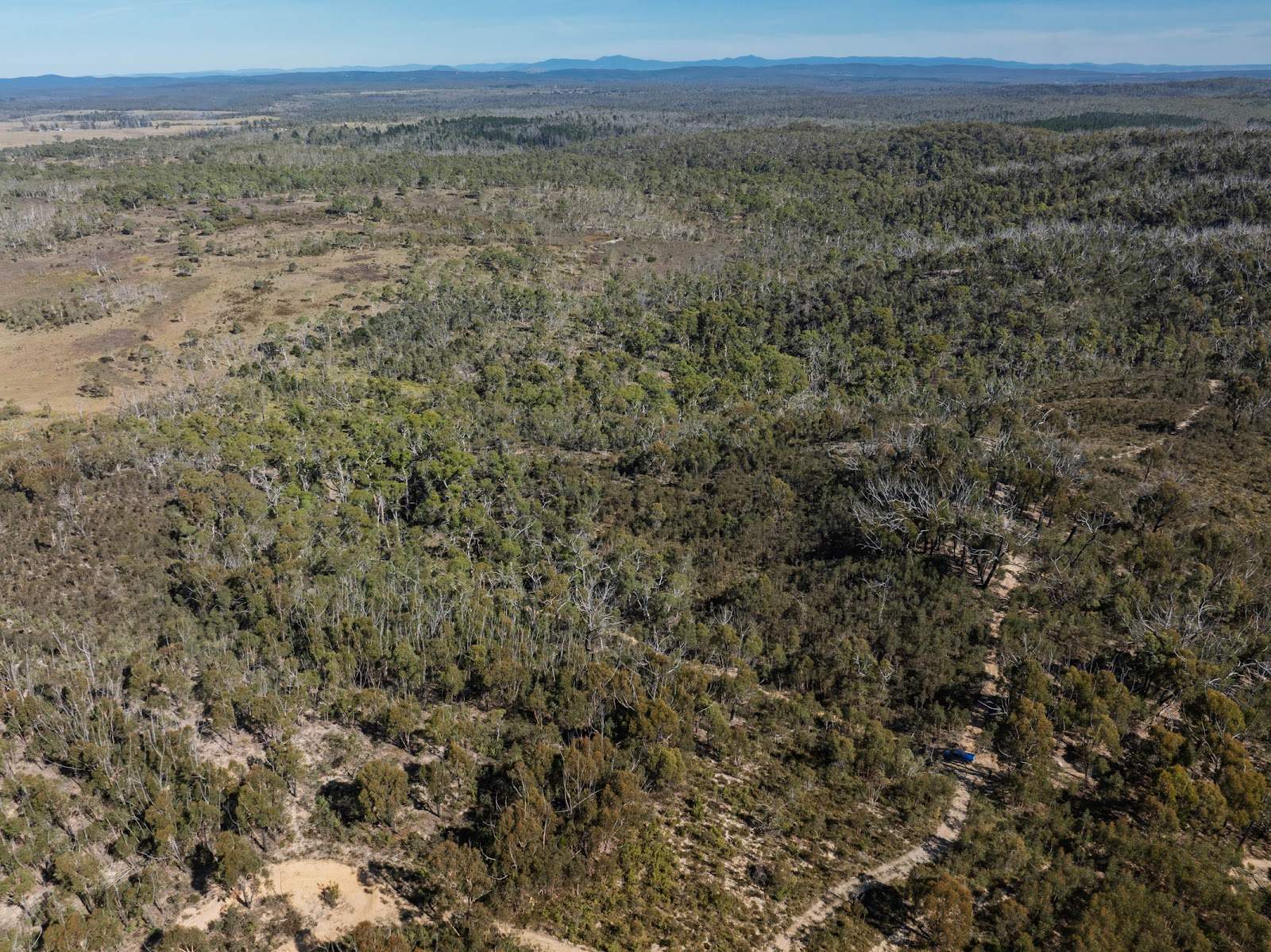 8203 Nerriga Road, Tomboye For Sale by Farmbuy.com - image 16