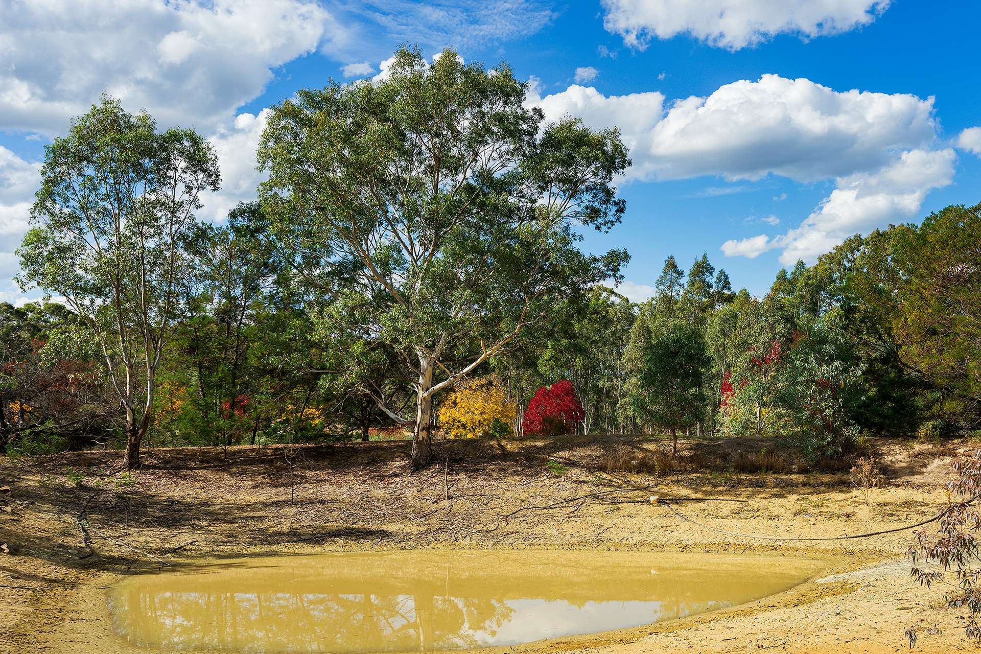 69 Molloys Lane, Yandoit For Sale by Farmbuy.com - image 11