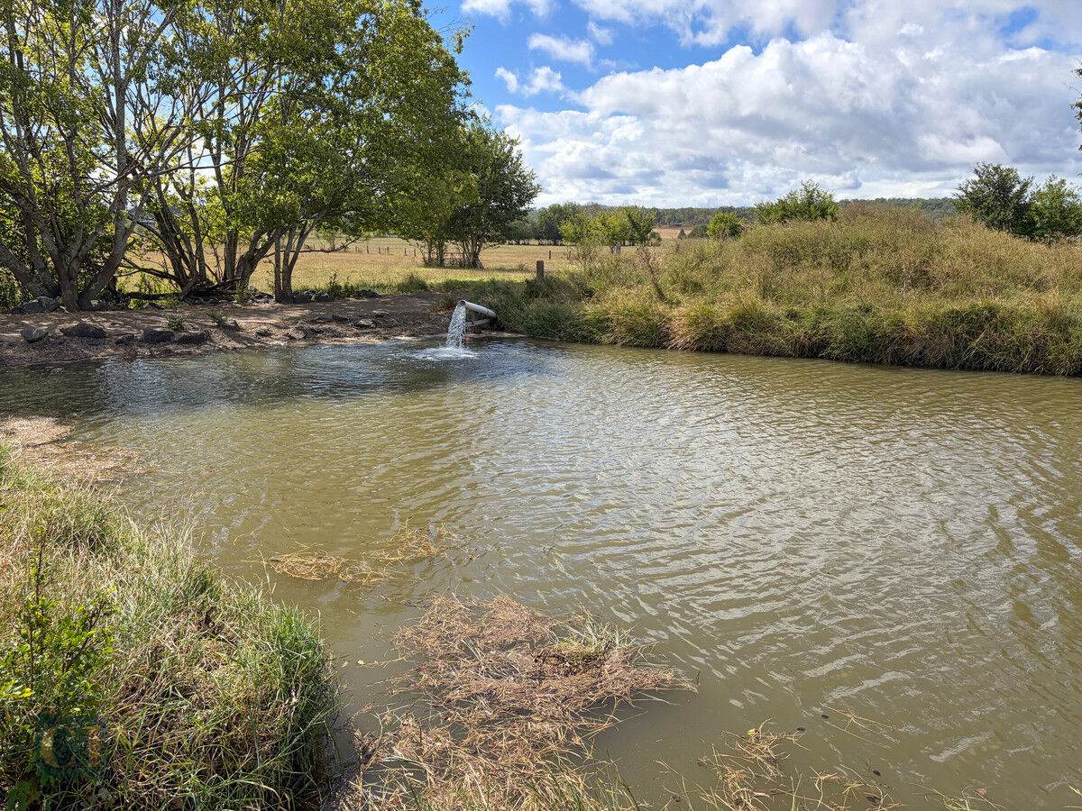 Lot 61 - 64,  Oaky Creek Road, Oaky Creek For Sale by Farmbuy.com - image 8