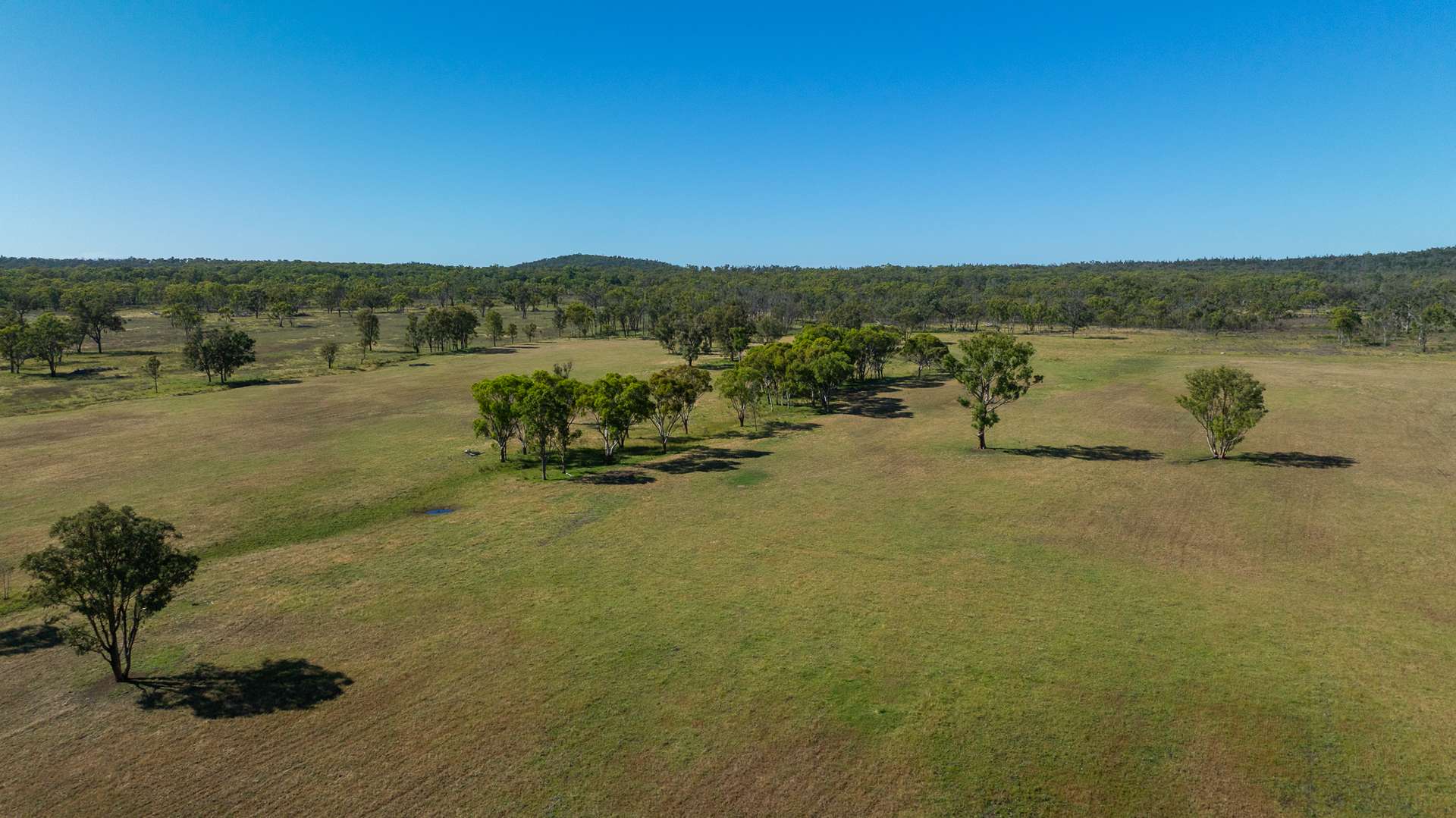 107 Bundarra Road, Inverell For Sale by Farmbuy.com - image 14