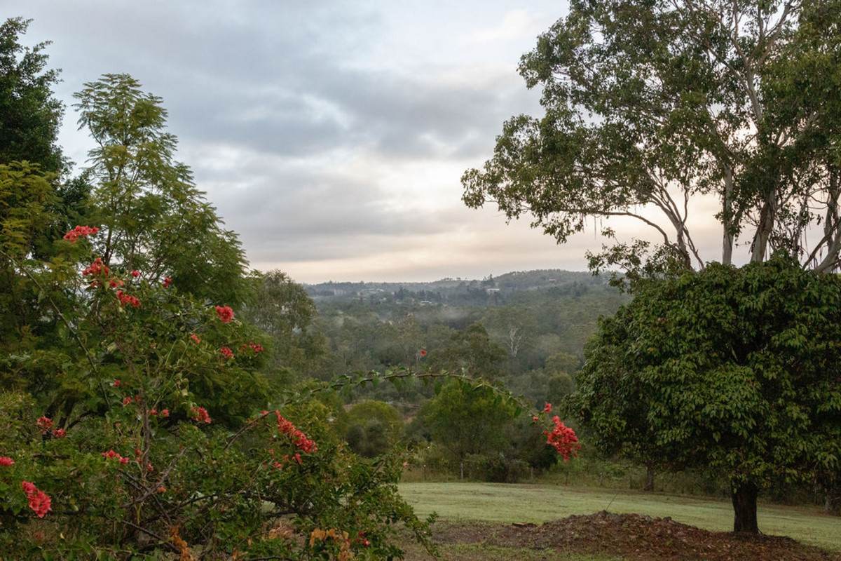 419 Russells Road, Pine Mountain For Sale by Farmbuy.com - image 29