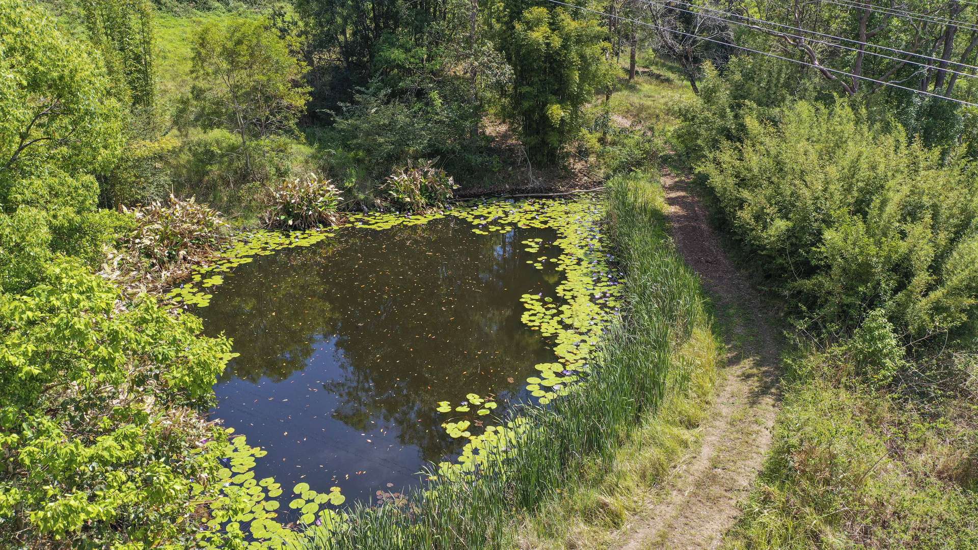 Share D5/1158 Pinchin Road, The Channon For Sale by Farmbuy.com - image 26