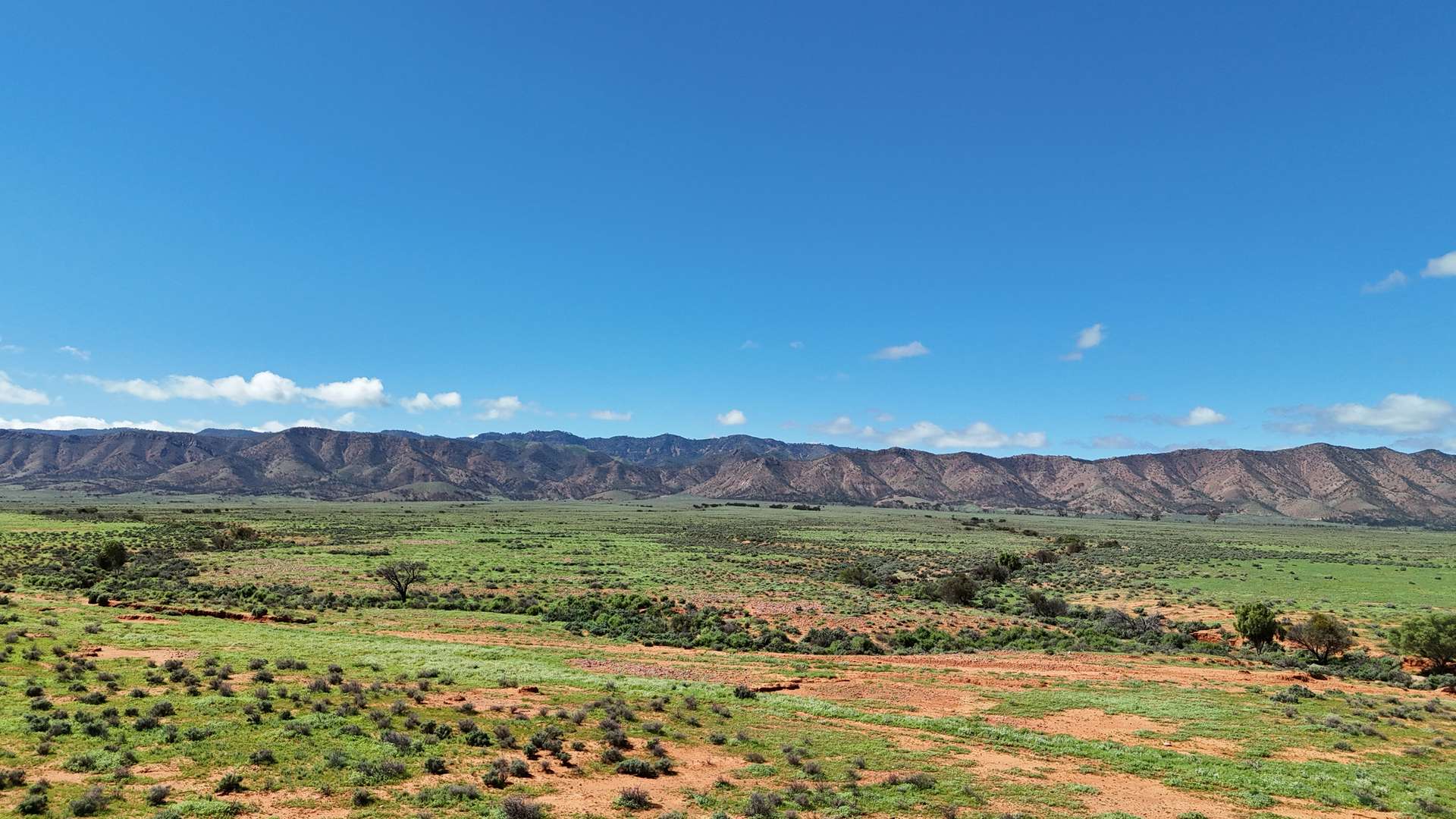 7983 Warrakimbo Rd, Emeroo For Sale by Farmbuy.com - image 5