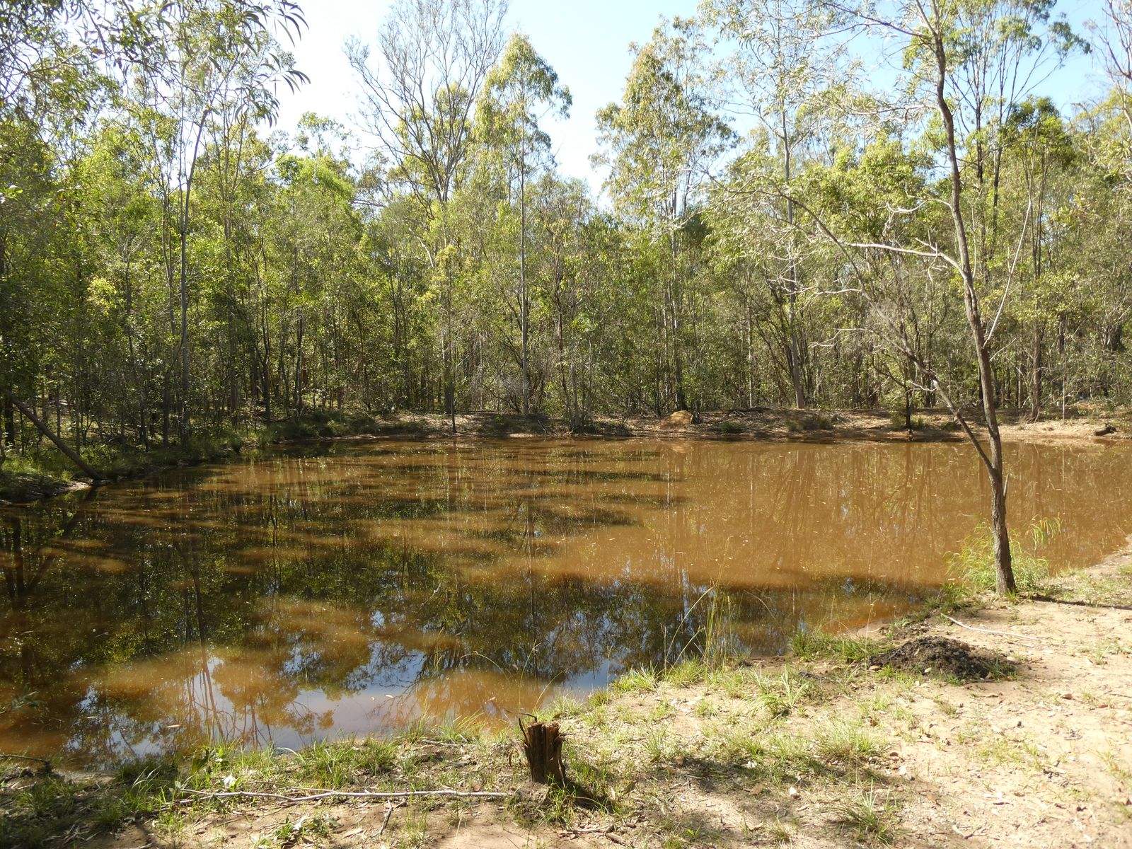 291 WALKERS FLAT ROAD, Aramara For Sale by Farmbuy.com - image 34