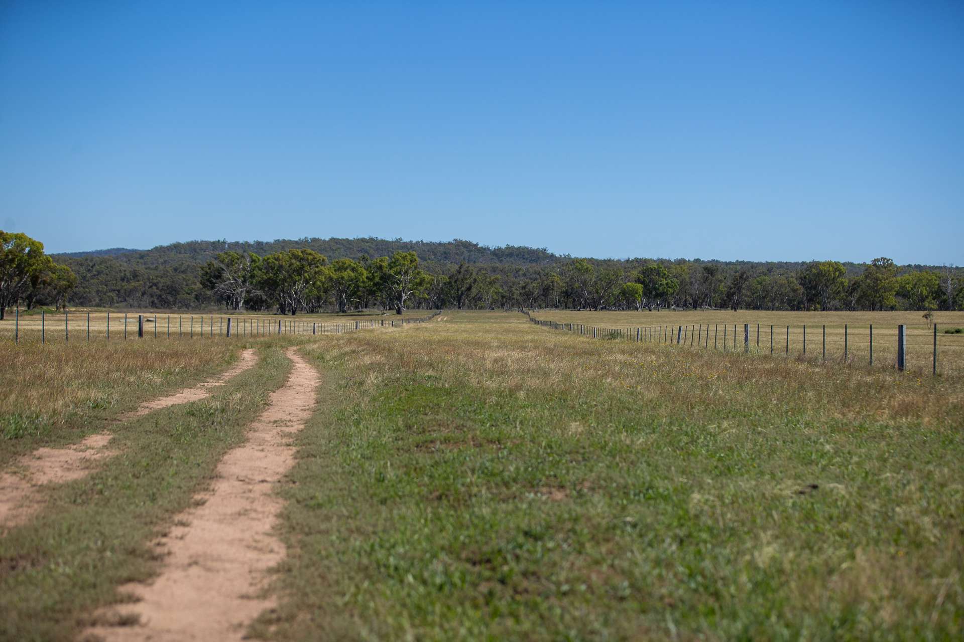 Lot 66 Glen Hazel Road, Inverell For Sale by Farmbuy.com - image 5