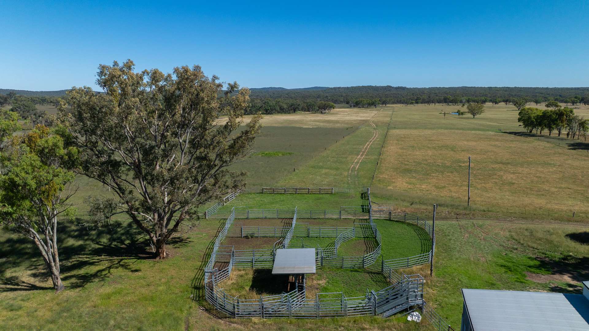 Lot 66 Glen Hazel Road, Inverell For Sale by Farmbuy.com - image 15