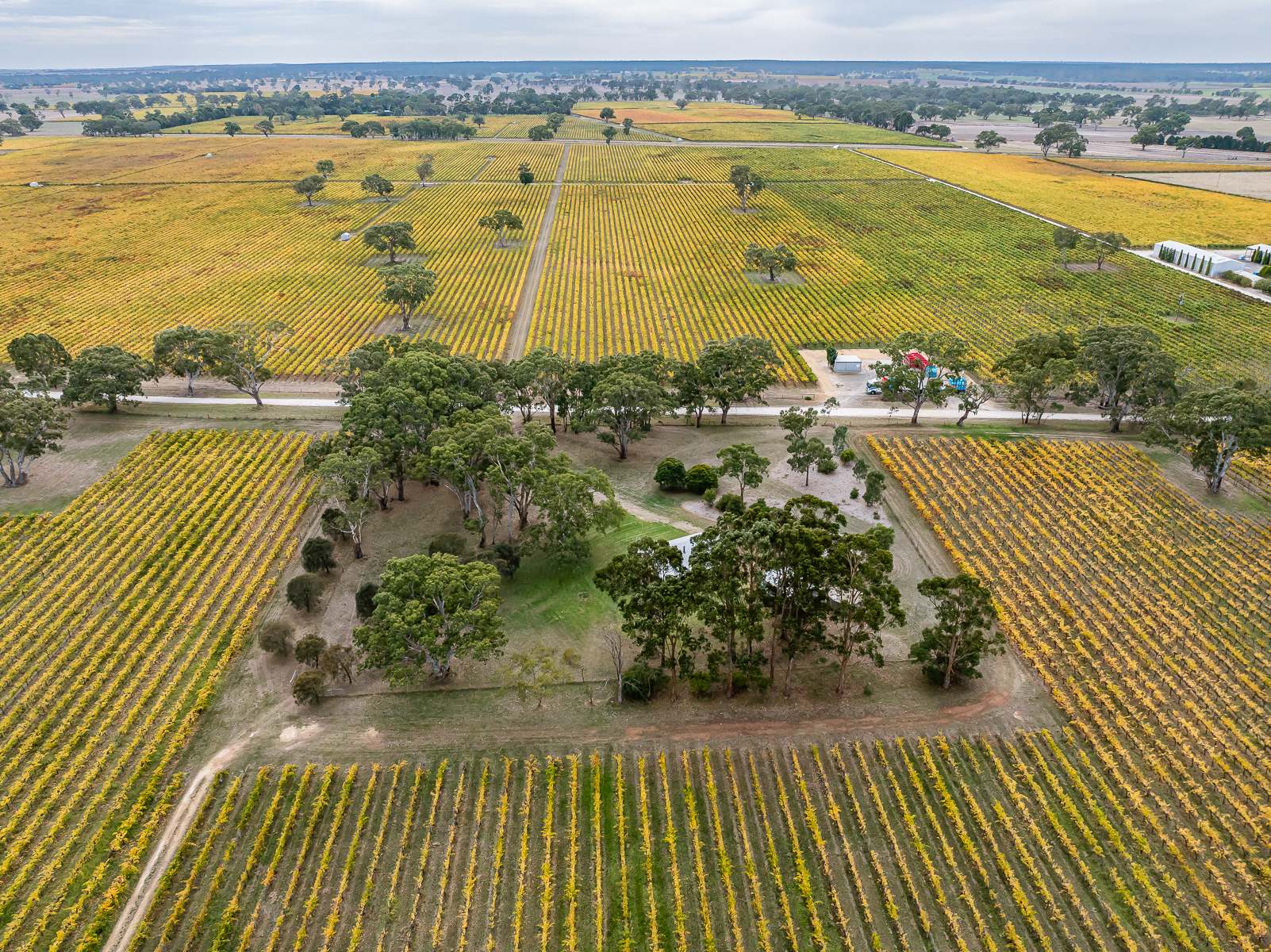 Lot 1 McLean Road, Coonawarra For Sale by Farmbuy.com - image 17