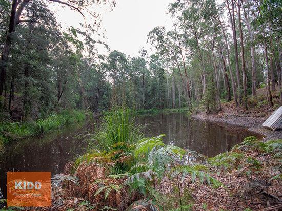 217 Sternbeck Road, Bucketty For Sale by Farmbuy.com - image 14