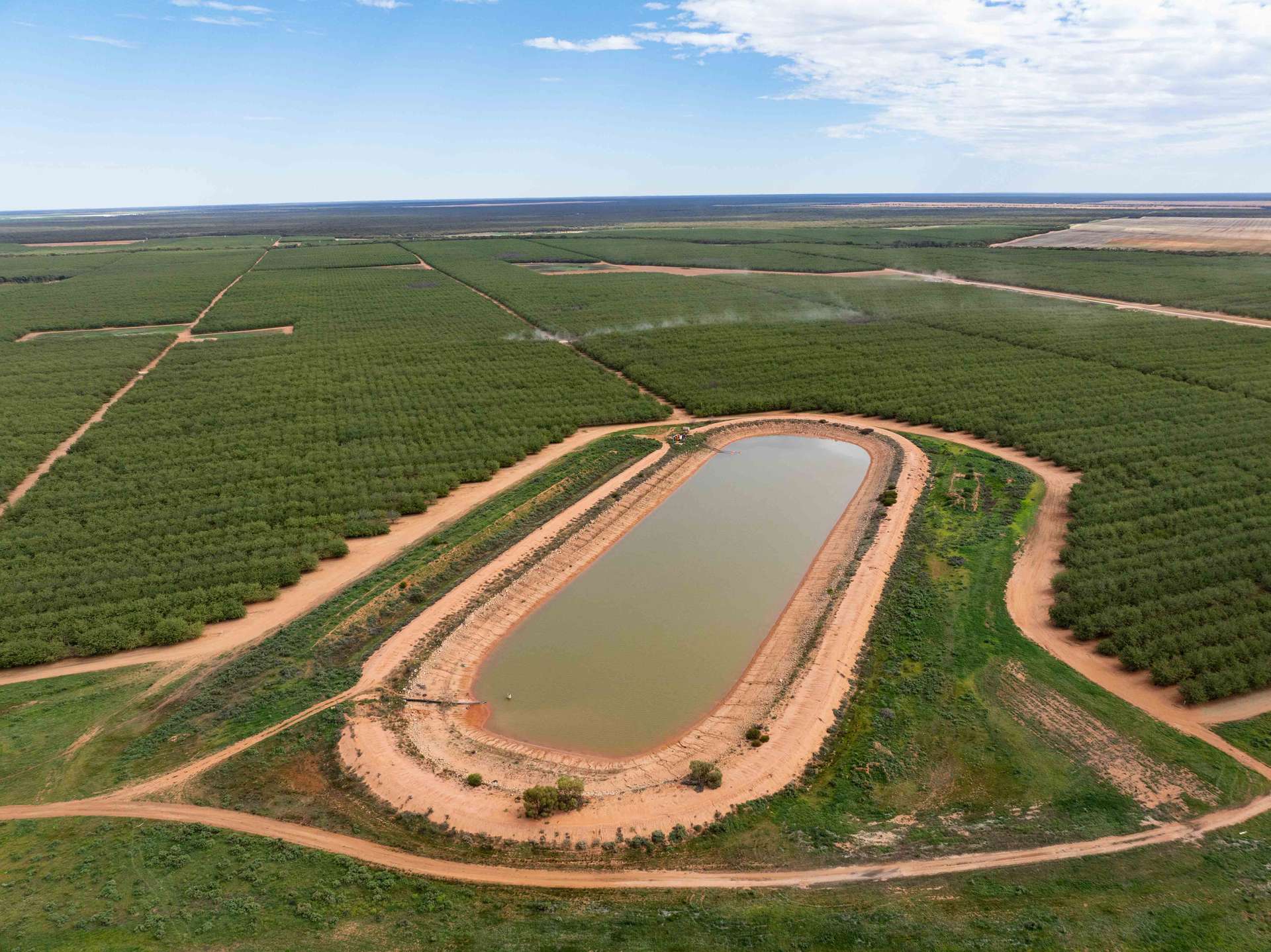 Murtho For Sale by Farmbuy.com - image 9