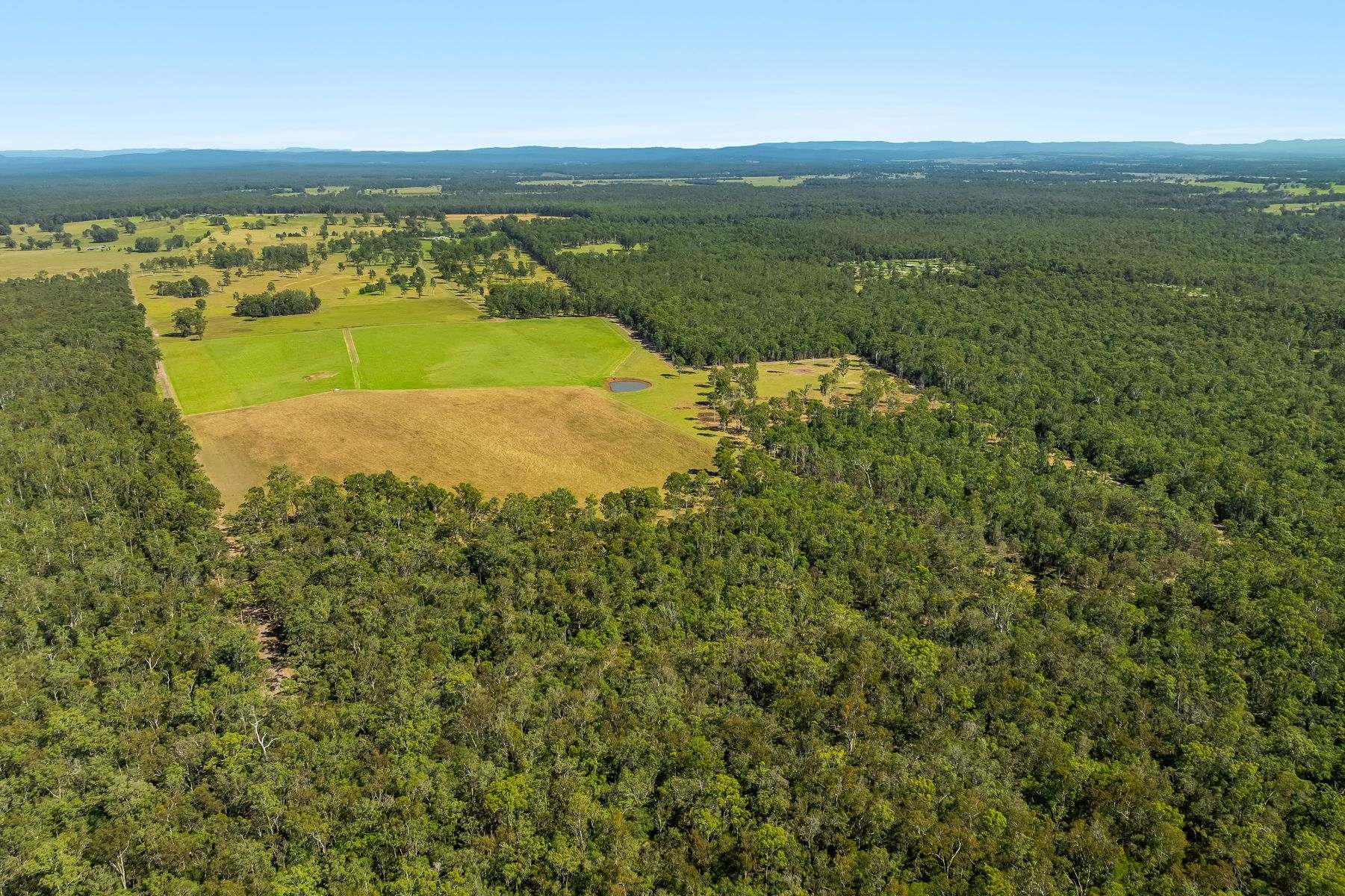 1295 Ellangowan Road, Ellangowan For Sale by Farmbuy.com - image 8