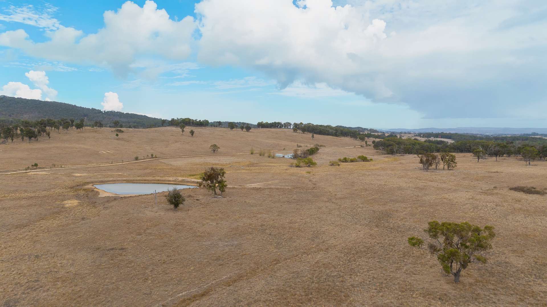 "Fern Hill" 526 Toms Gully Road, Black Mountain Tender by Farmbuy.com - image 4