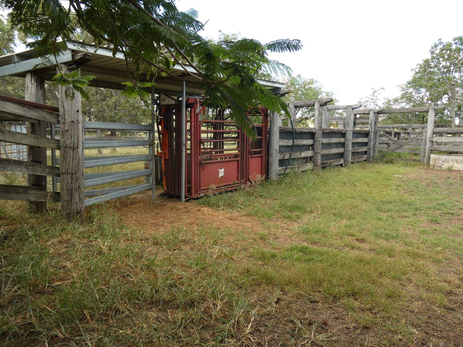 99 North Pattens Road, Boynewood For Sale by Farmbuy.com - image 32