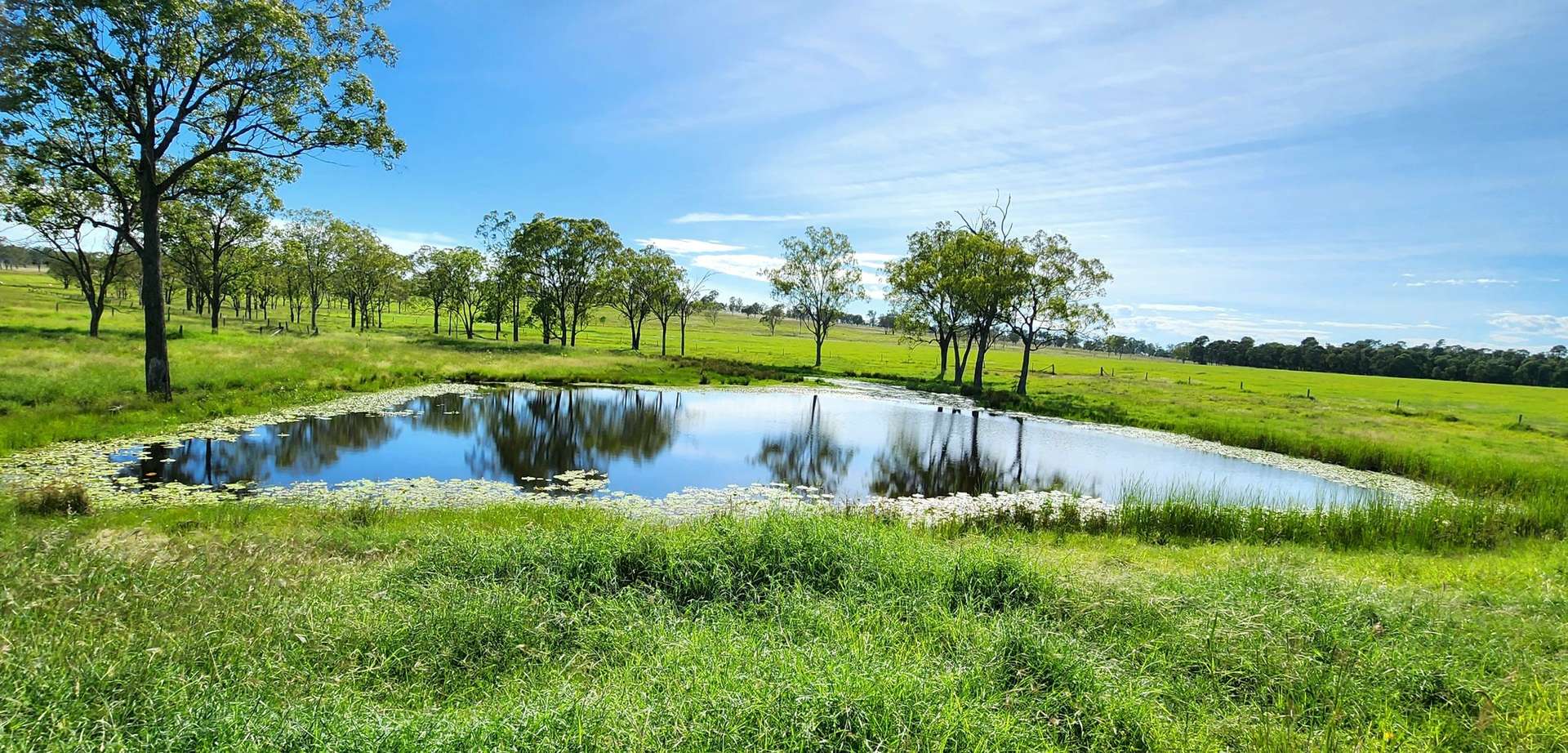 99 North Pattens Road, Boynewood For Sale by Farmbuy.com - image 13