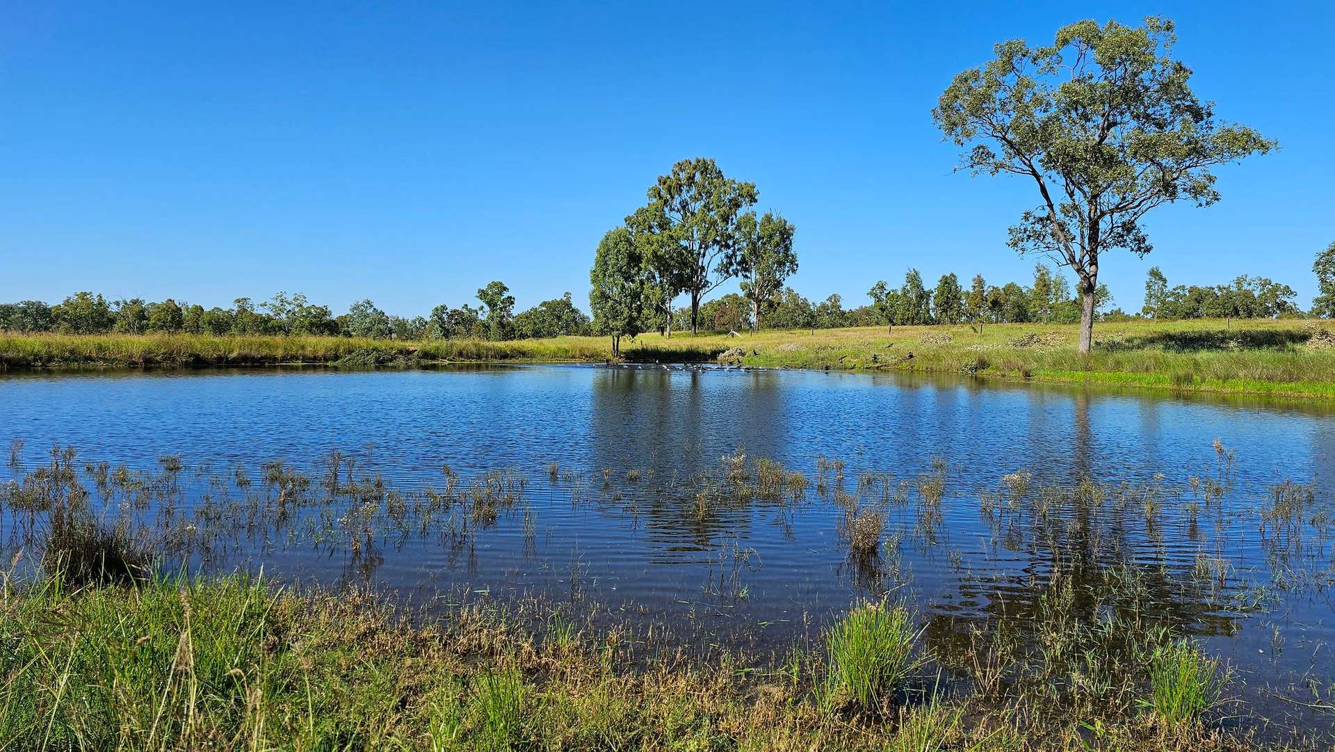 99 North Pattens Road, Boynewood For Sale by Farmbuy.com - image 19