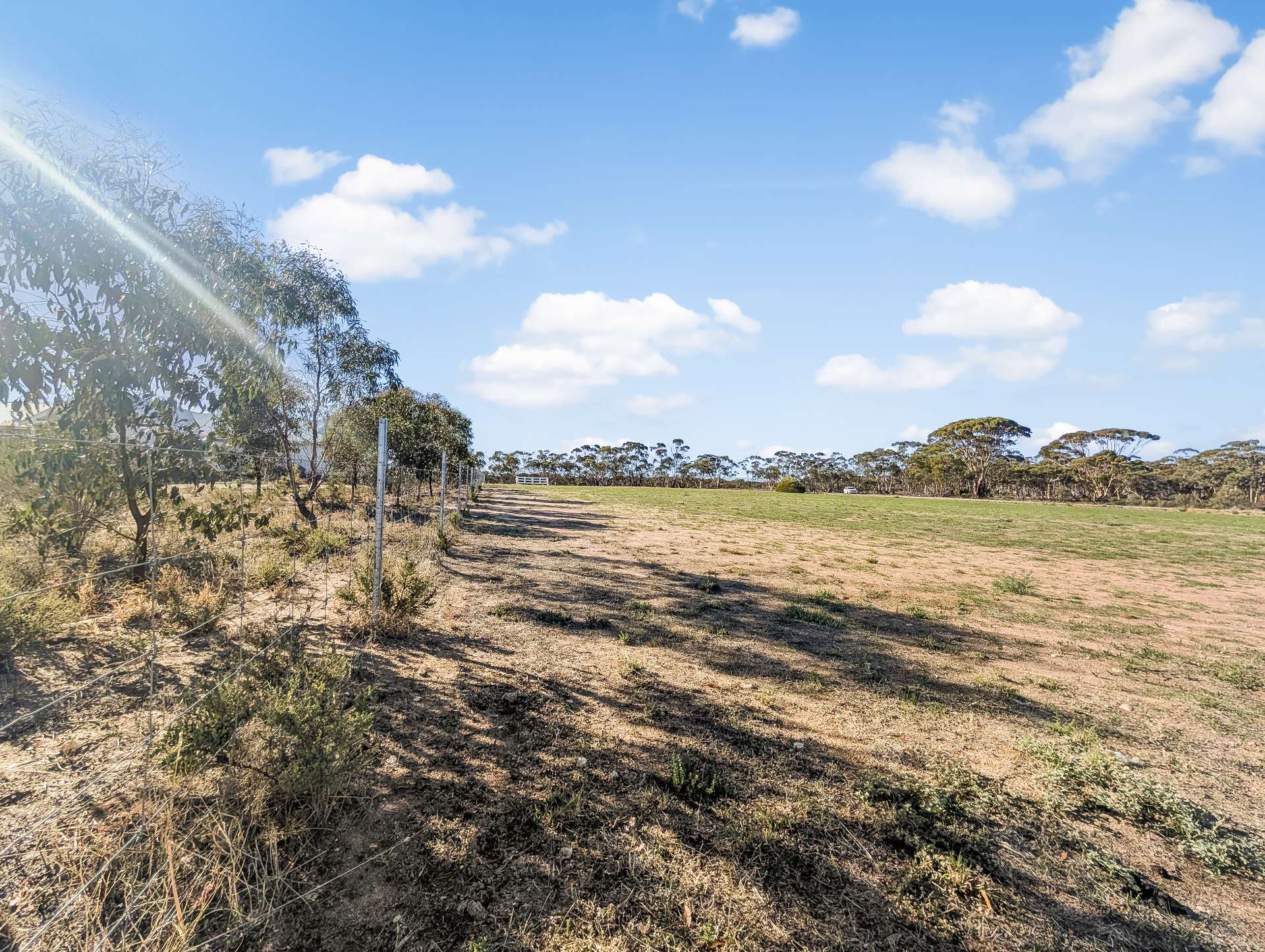 41 Maiolo Way, Merredin For Sale by Farmbuy.com - image 3