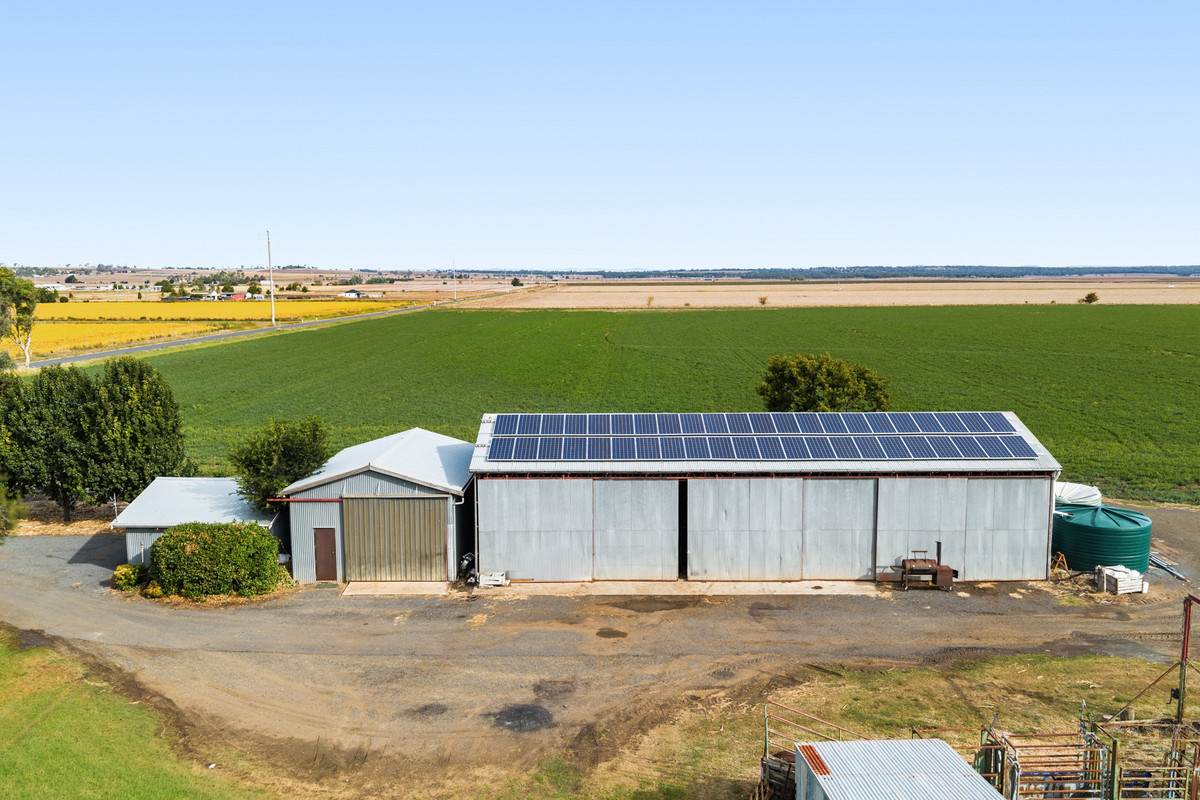 79 Merivale Street, Allora For Sale by Farmbuy.com - image 4
