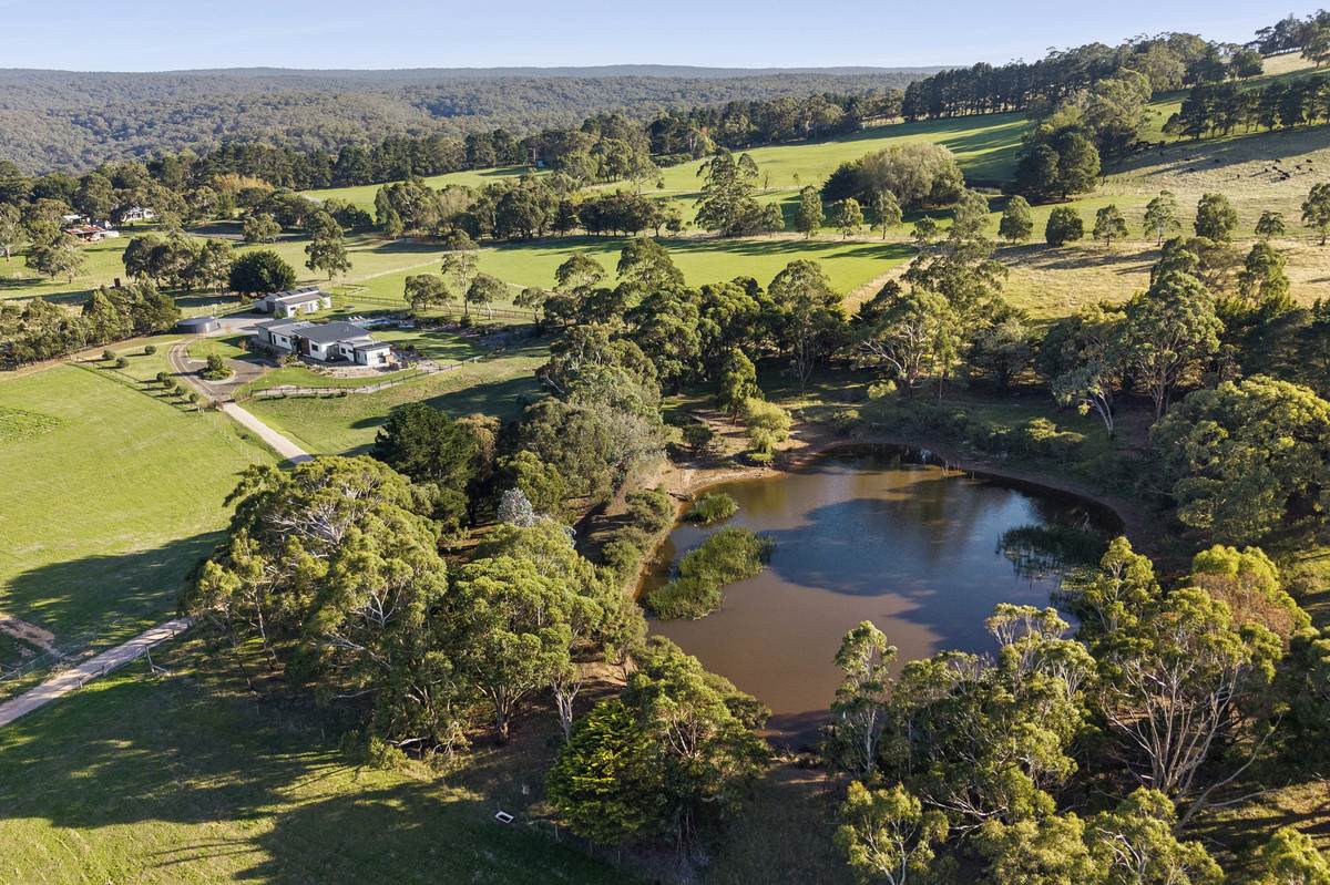65 Dunne Road, Bullengarook For Sale by Farmbuy.com - image 2