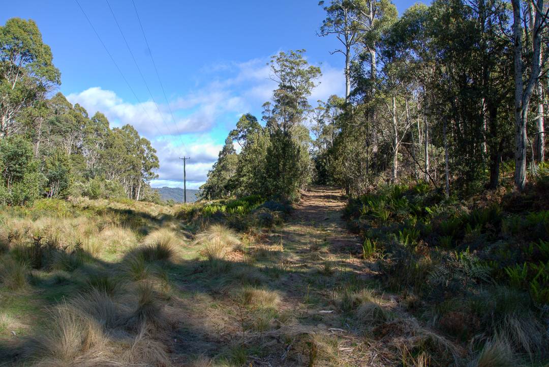 Lot 1 Mayberry Road, Mayberry For Sale by Farmbuy.com - image 13