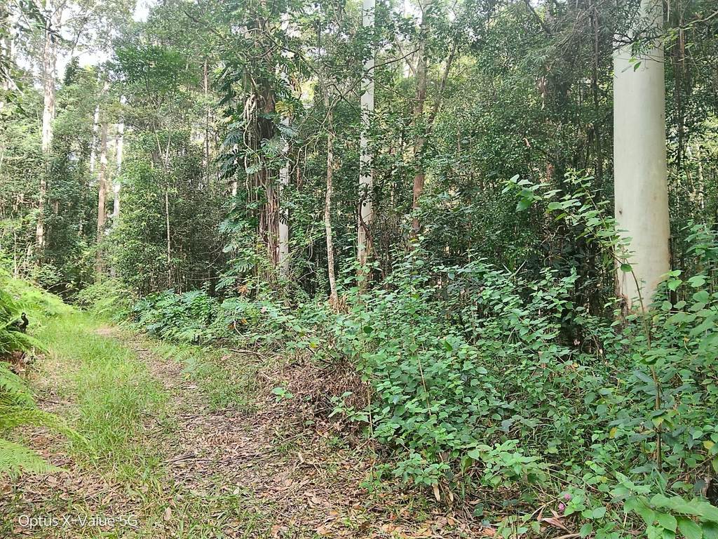 Lot 8&sol;399 Browns Creek Road, Bridges QLD 4561