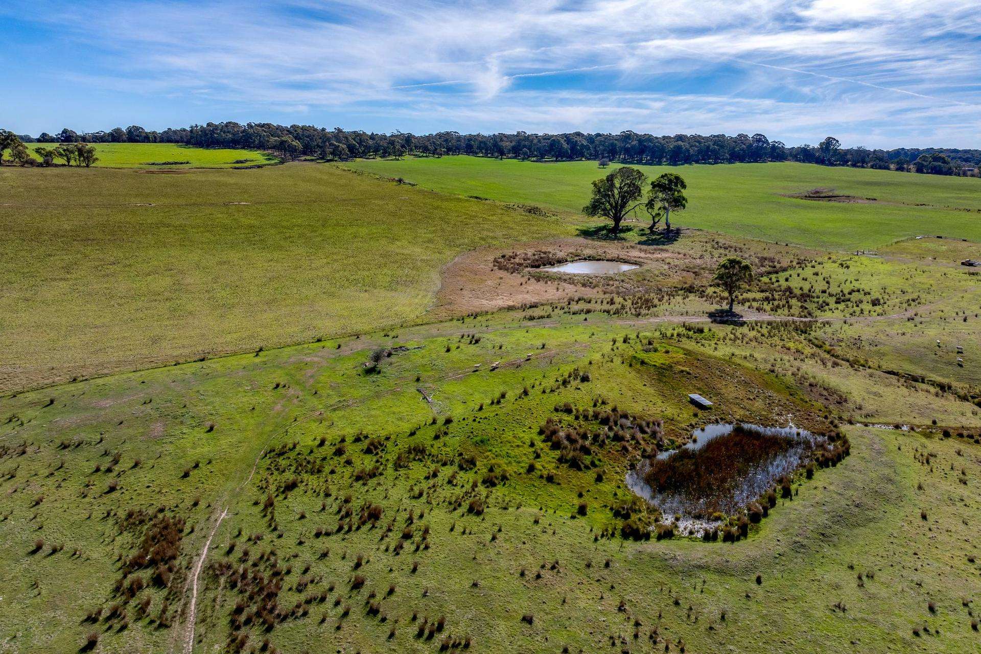Lot 5 Roseberry Road, Taralga For Sale by Farmbuy.com - image 18