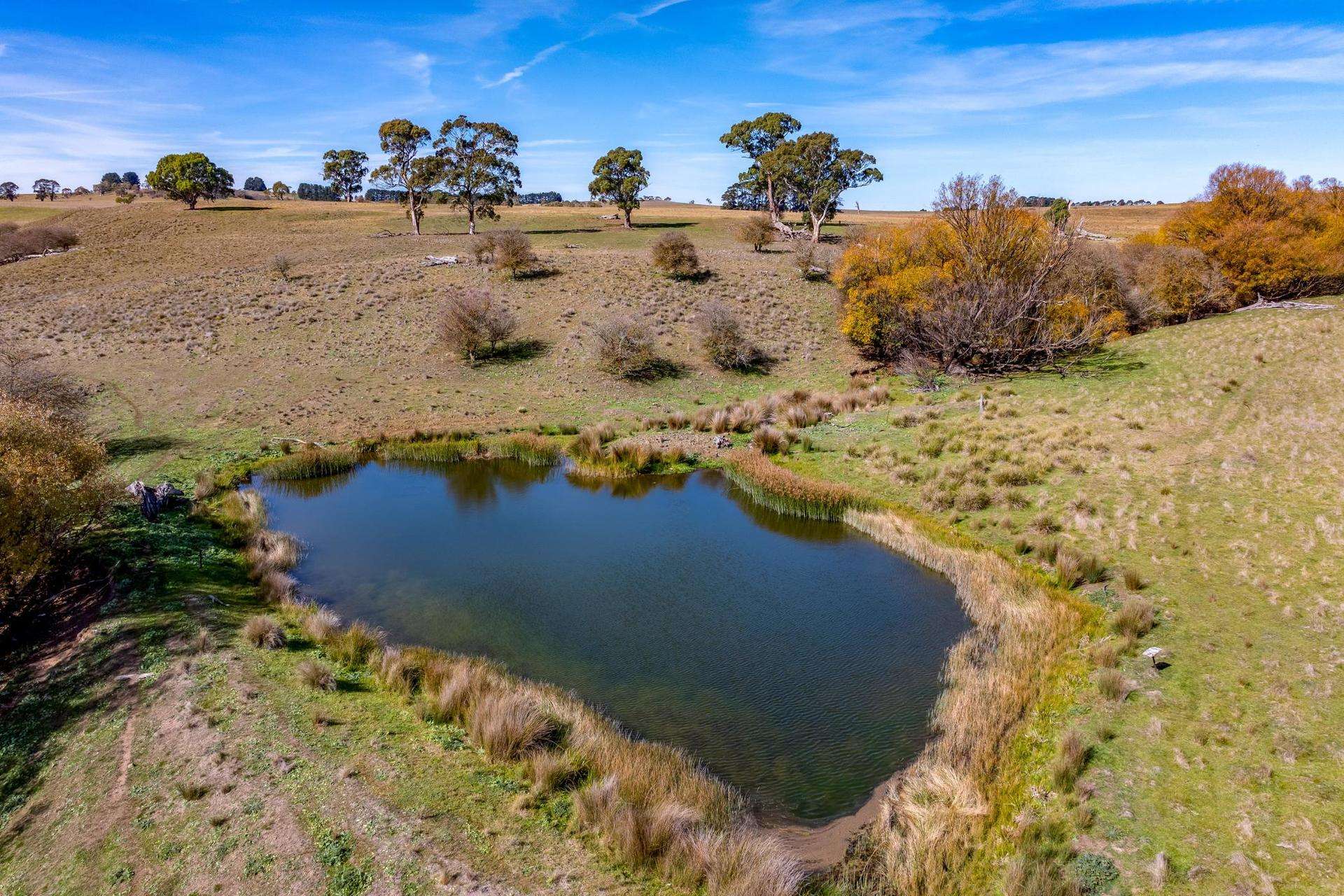 Lot 5 Roseberry Road, Taralga For Sale by Farmbuy.com - image 2