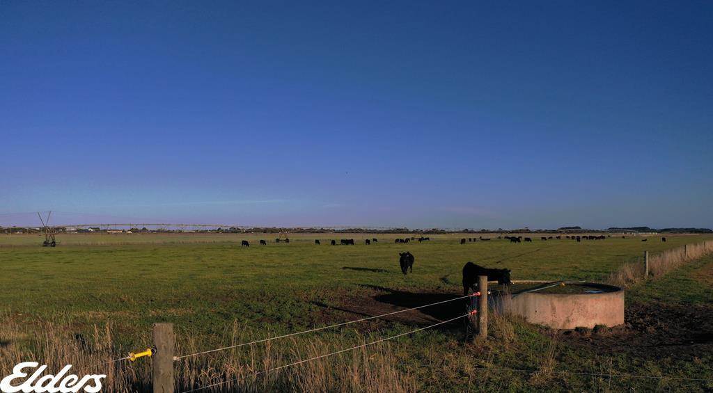 825 Woodside Beach Road, Woodside For Sale by Farmbuy.com - image 6