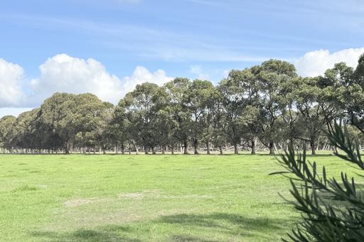 Farm For Sale - WA - Marbelup - 6330 - Beautiful Block with Bush and Views 