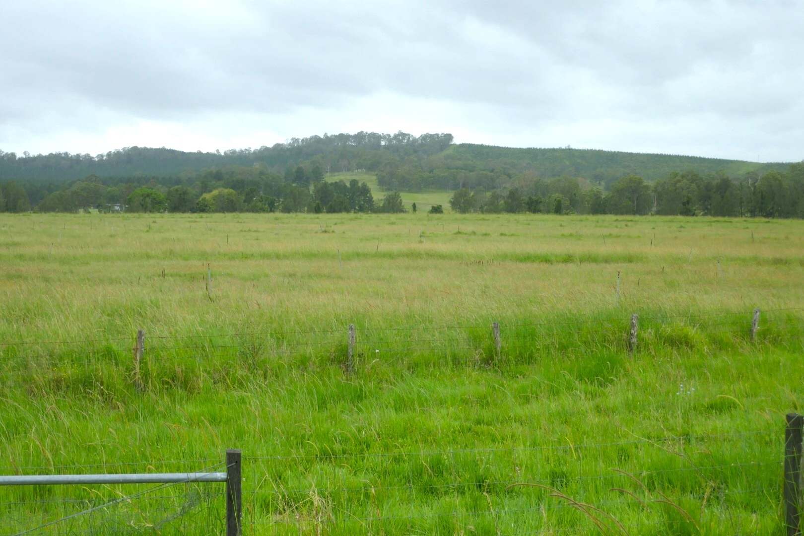 431 Knights Road, Kyogle For Sale by Farmbuy.com - image 29