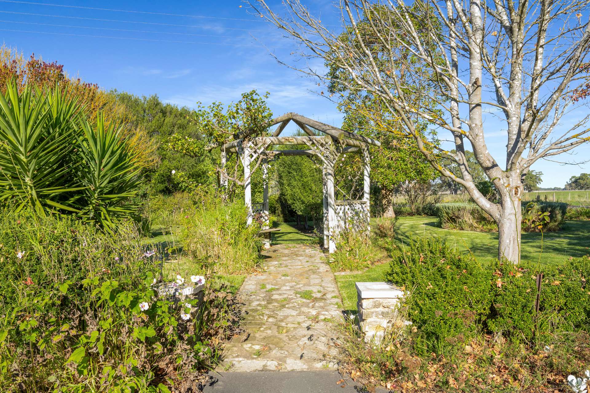 10 South Terrace, Penola For Sale by Farmbuy.com - image 19