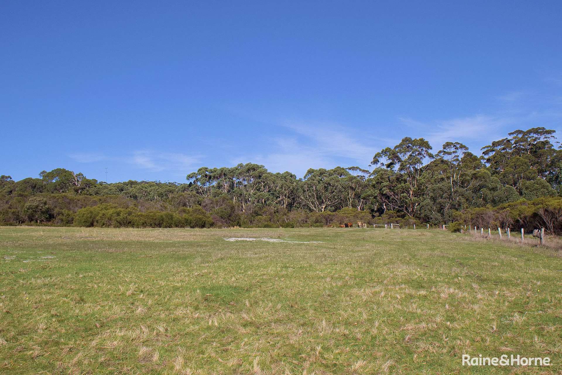 171 Gardiner Road, North Walpole For Sale by Farmbuy.com - image 23
