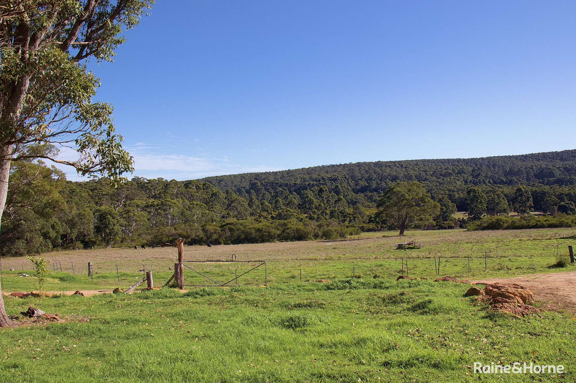 171 Gardiner Road, North Walpole For Sale by Farmbuy.com - image 22