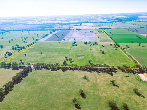 88 Barbers Road, Walla Walla NSW 2659