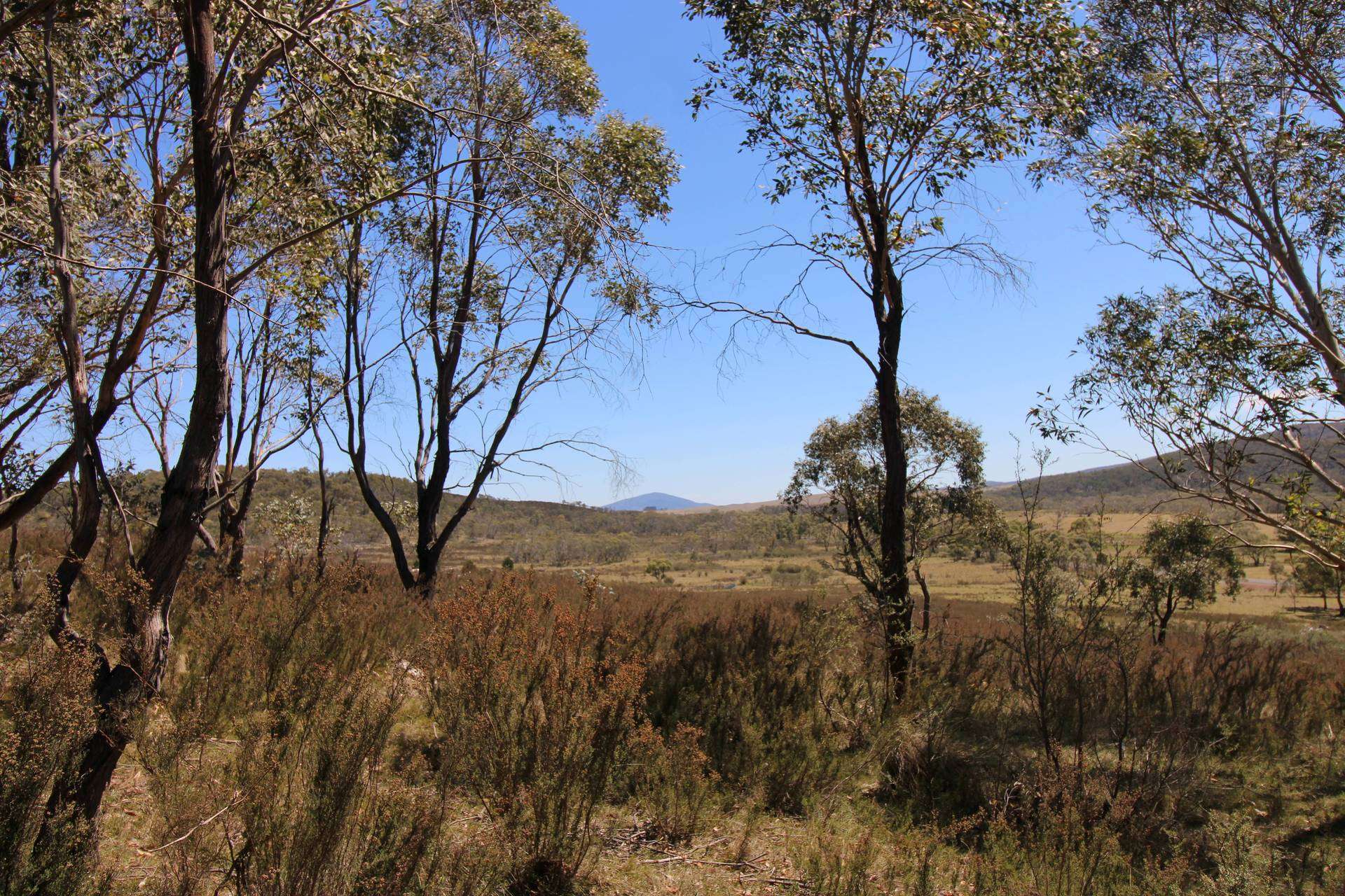 3314 Cooma Road, Braidwood For Sale by Farmbuy.com - image 3