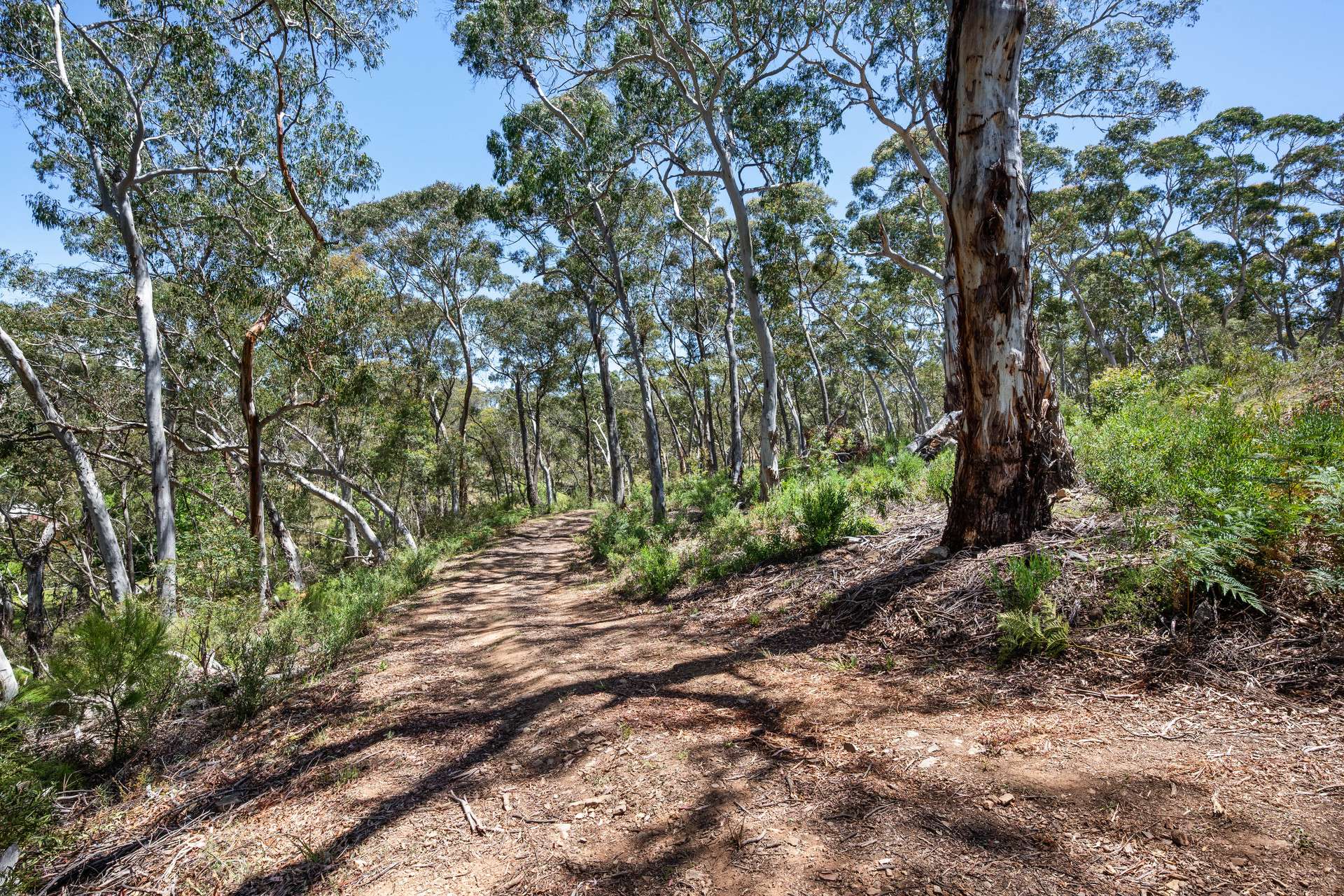 281 Charleys Forest Road, Braidwood For Sale by Farmbuy.com - image 24
