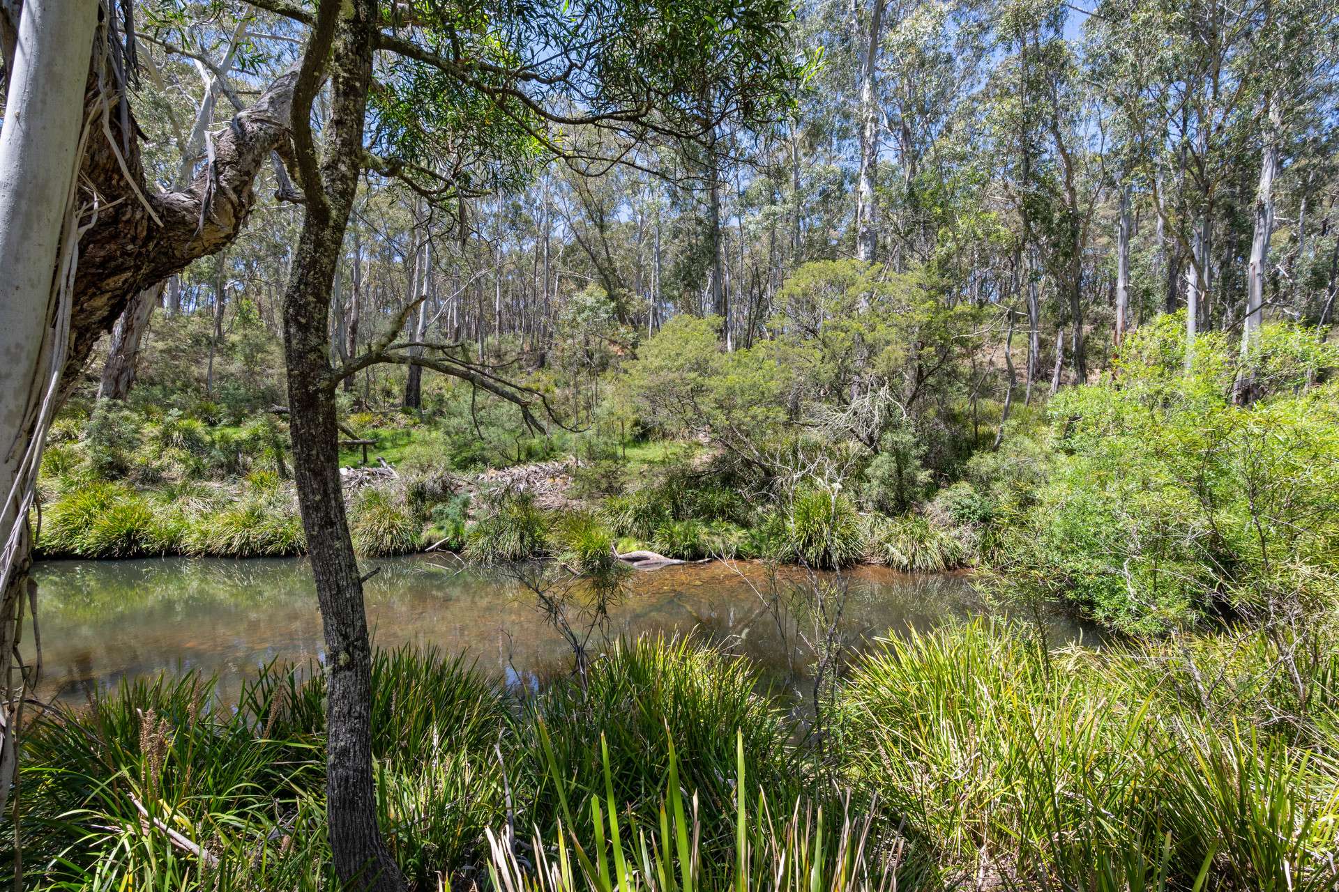 281 Charleys Forest Road, Braidwood For Sale by Farmbuy.com - image 18