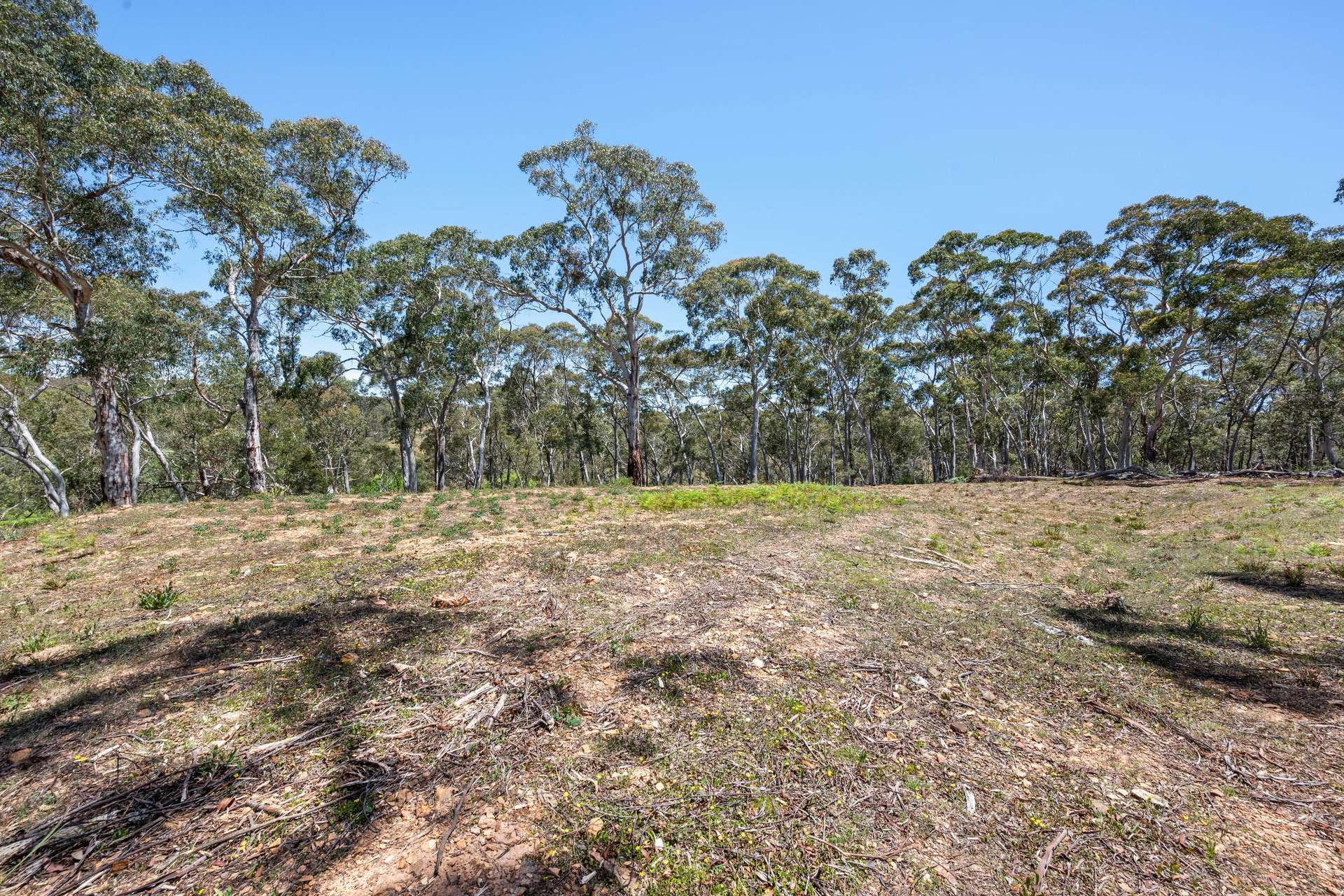 281 Charleys Forest Road, Braidwood For Sale by Farmbuy.com - image 11