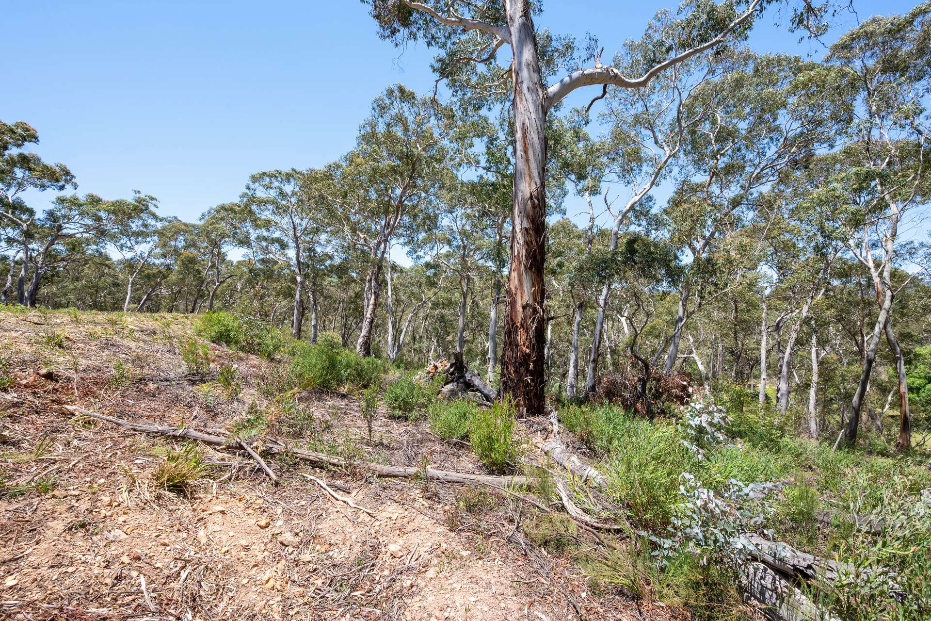 281 Charleys Forest Road, Braidwood For Sale by Farmbuy.com - image 9