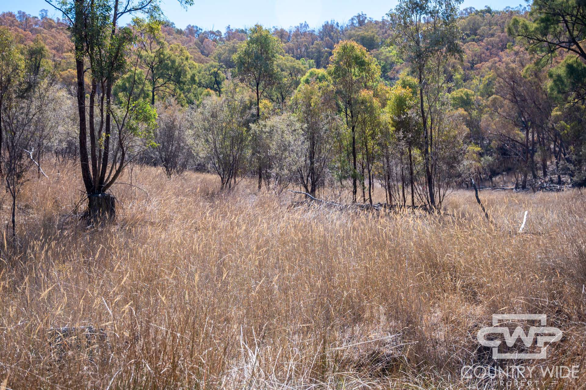 Lot 78, 4108 Tent Hill Road, Emmaville For Sale by Farmbuy.com - image 15