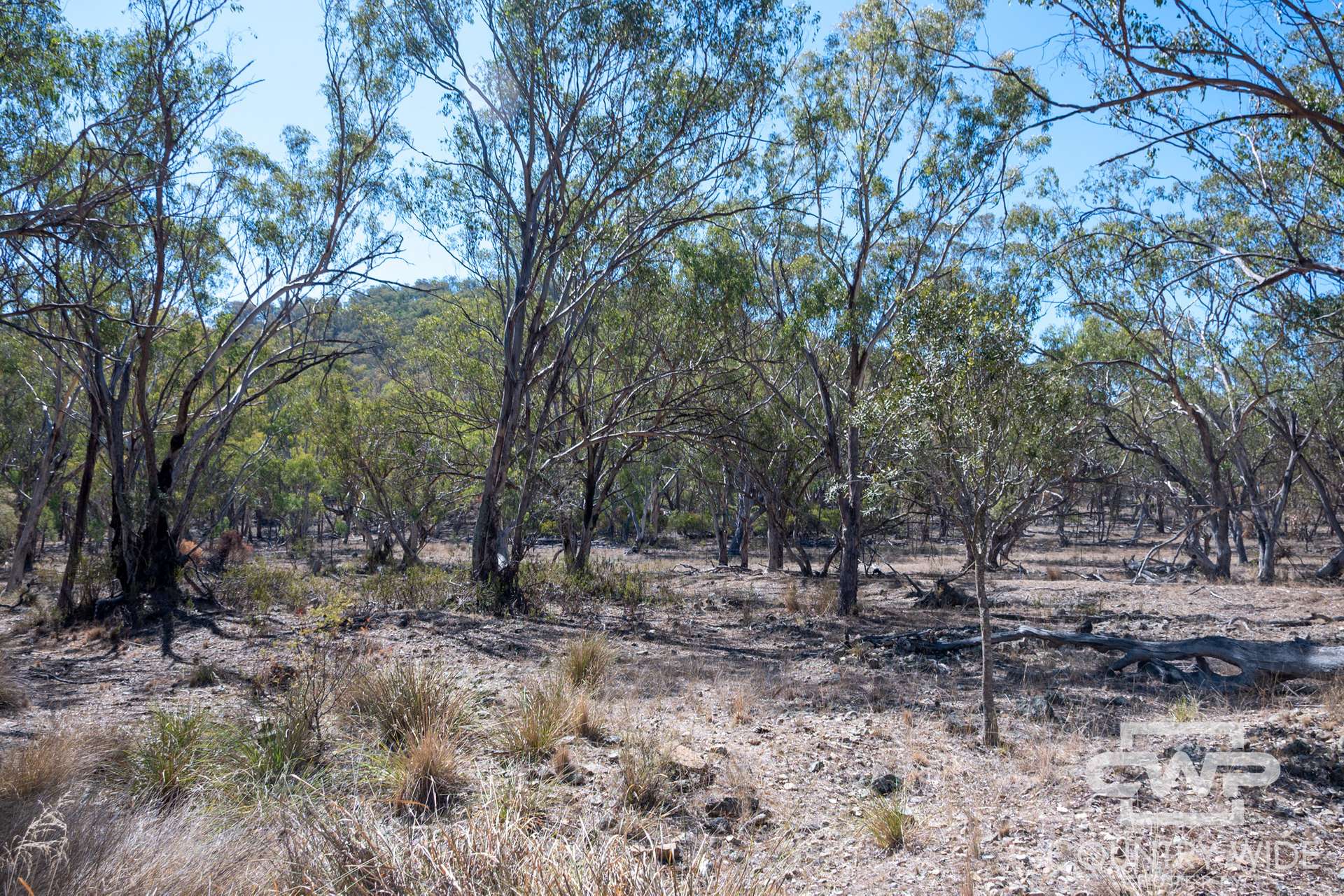 Lot 78, 4108 Tent Hill Road, Emmaville For Sale by Farmbuy.com - image 4