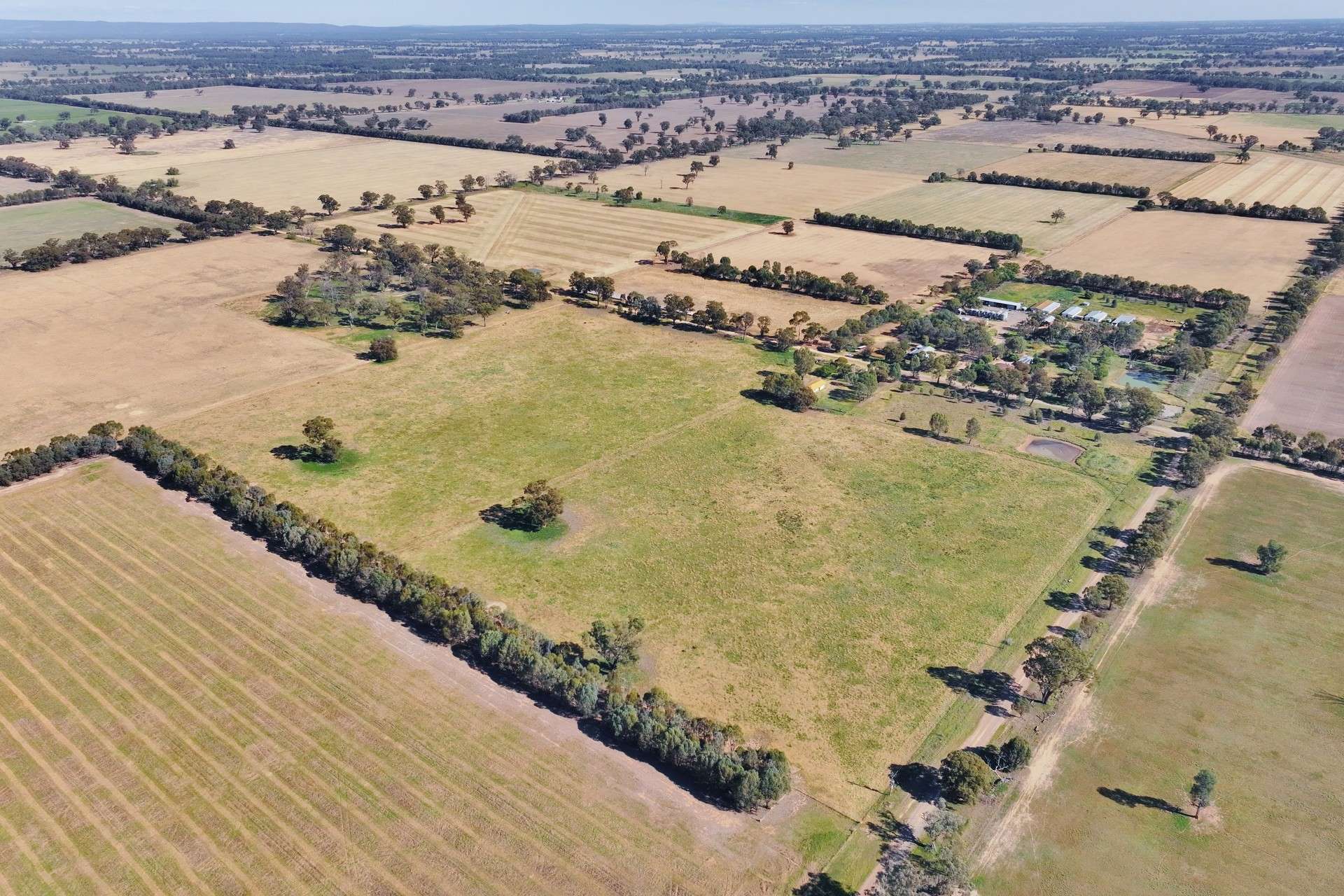 151 Briggs Road, Norong Auction by Farmbuy.com - image 3