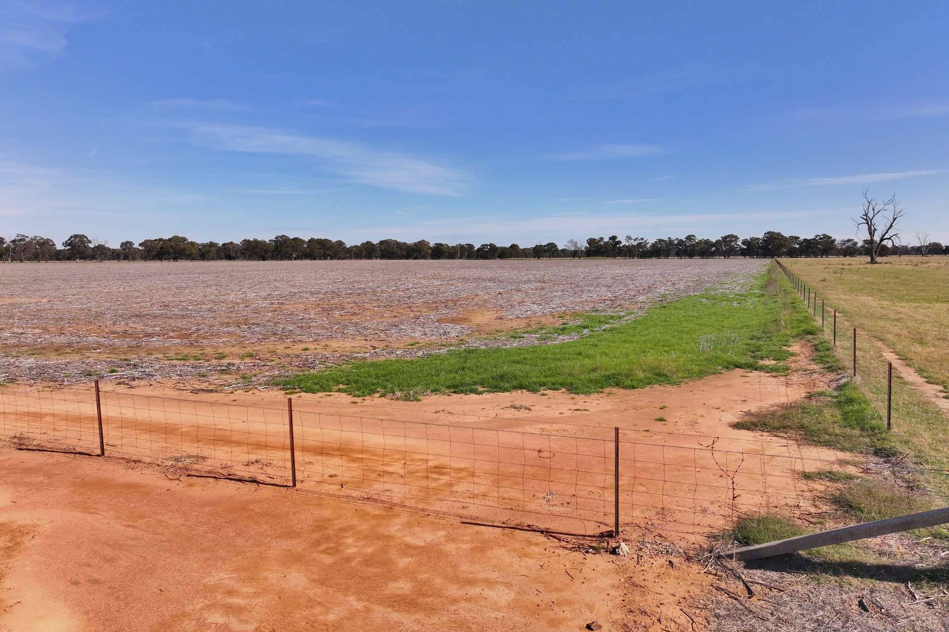 151 Briggs Road, Norong Auction by Farmbuy.com - image 20