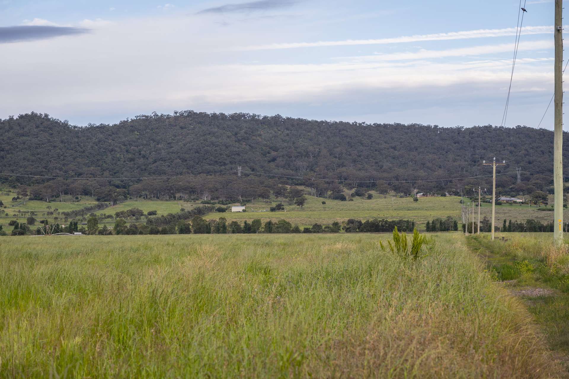 Windermere 1068 Segenhoe Road, Segenhoe For Sale by Farmbuy.com - image 3