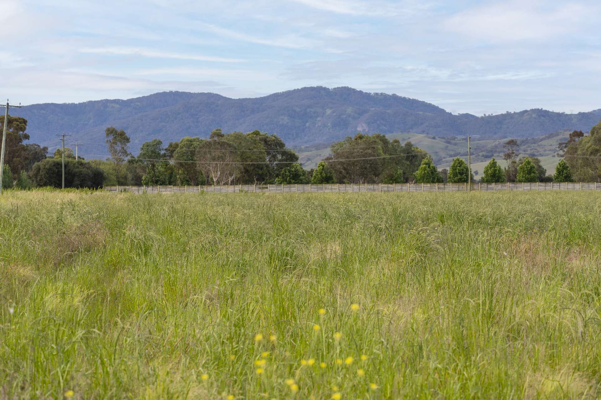 Windermere 1068 Segenhoe Road, Segenhoe For Sale by Farmbuy.com - image 5