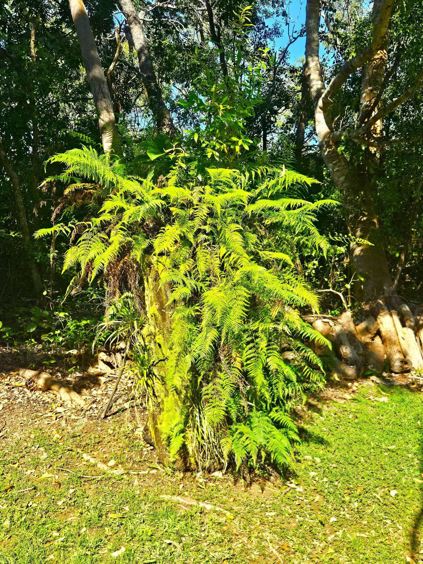 320 Launceston Road, Dundee Beach For Sale by Farmbuy.com - image 19