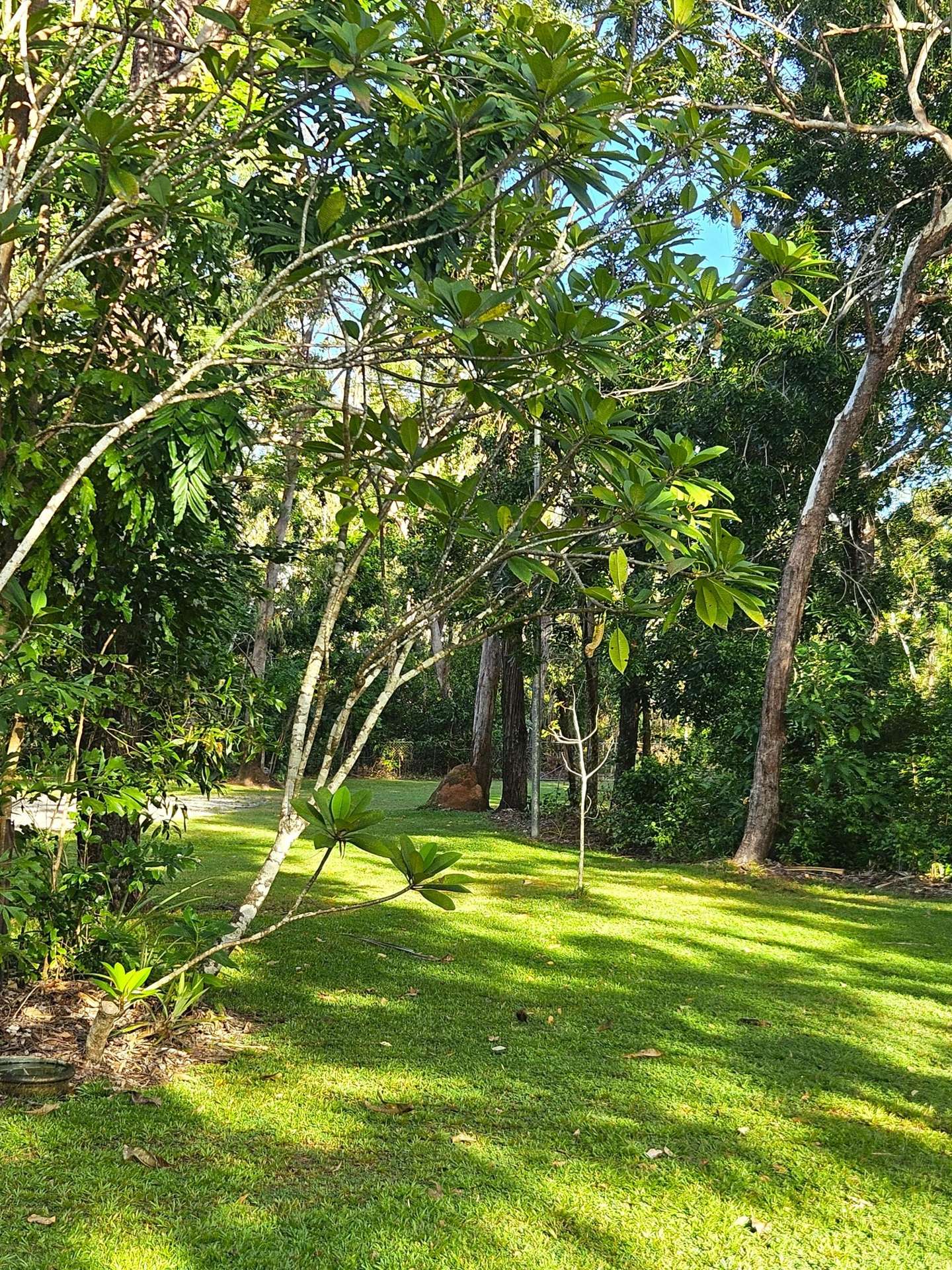 Dundee Beach For Sale by Farmbuy.com - image 12